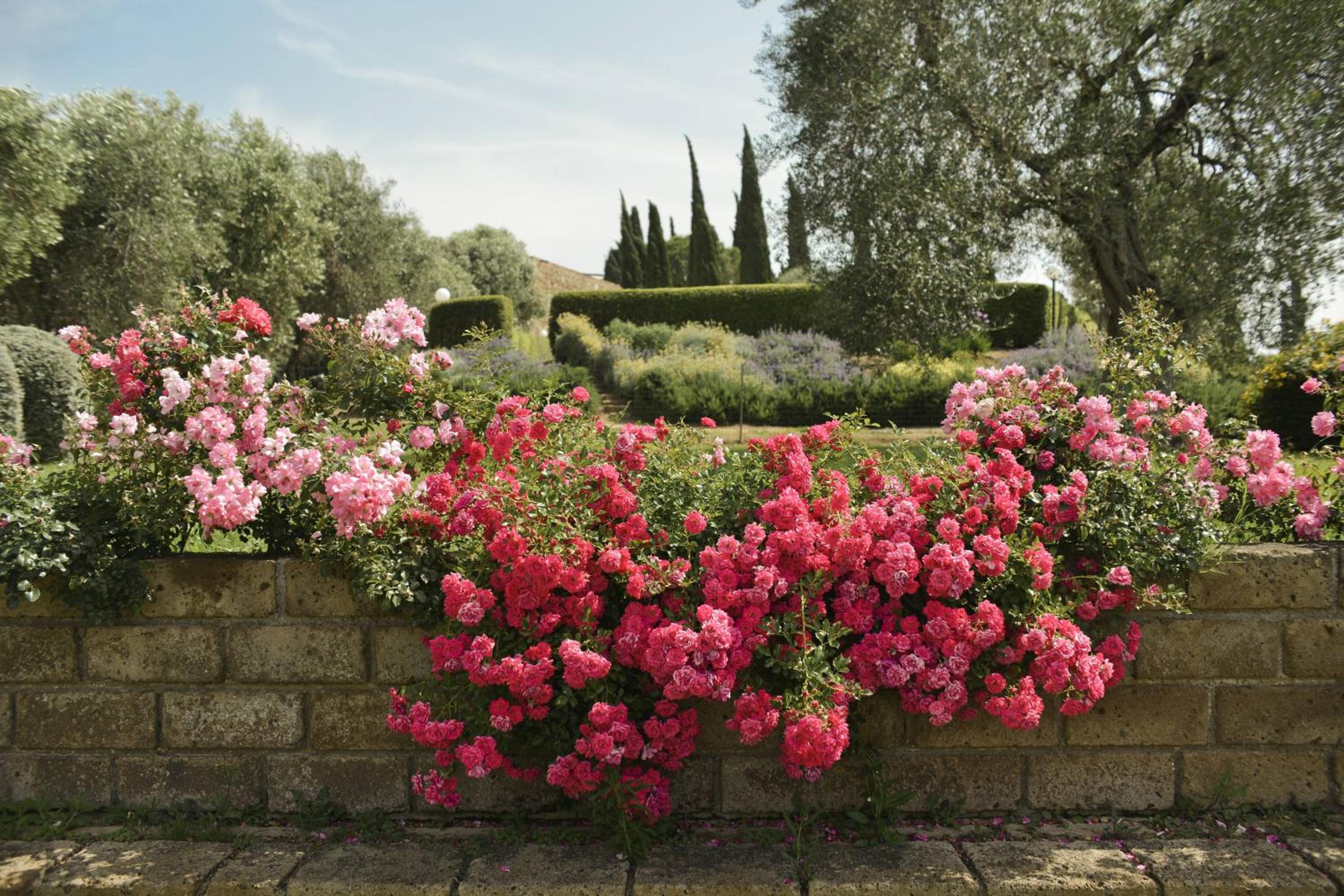 Tenuta di Poggio Cavallo