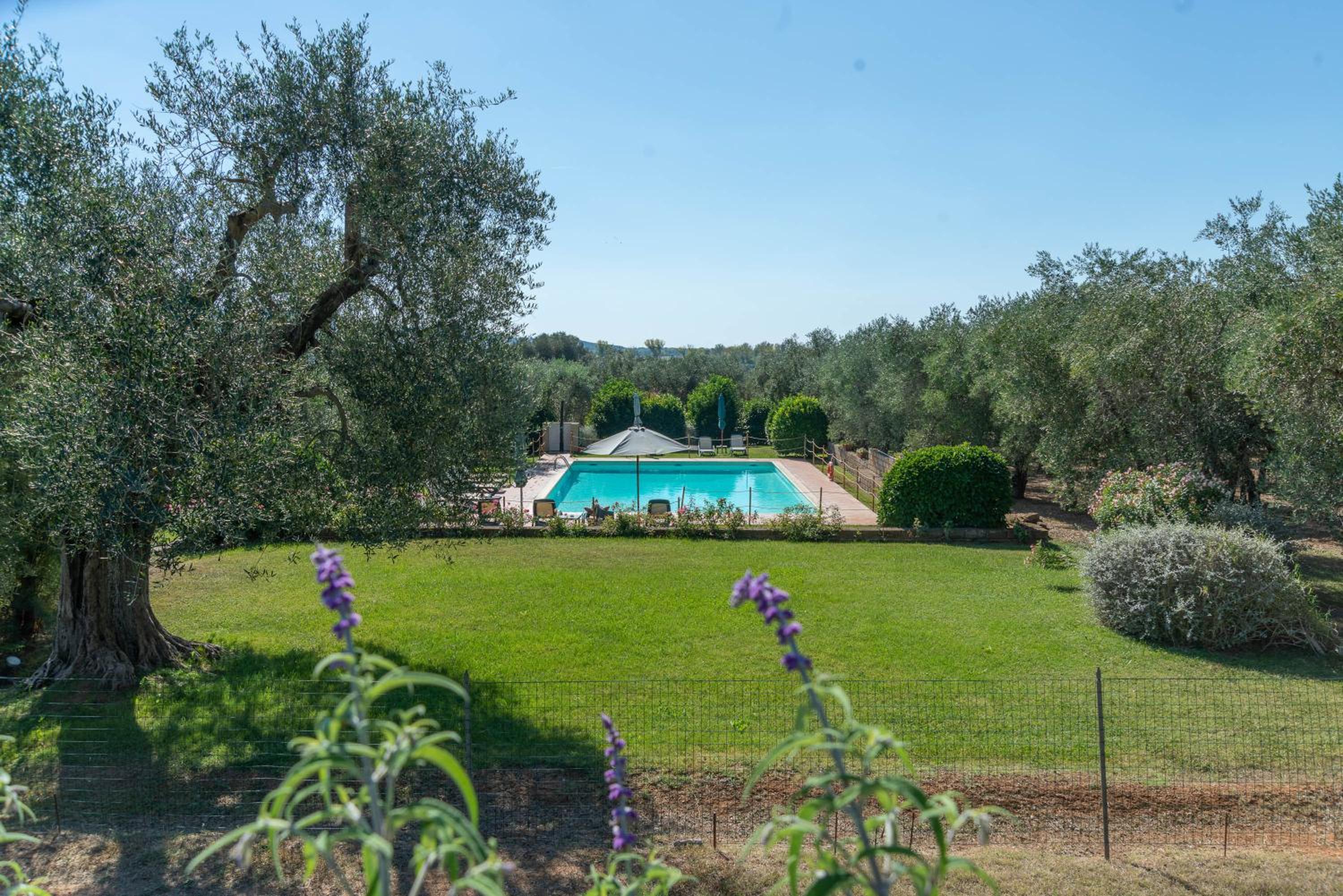 Tenuta di Poggio Cavallo