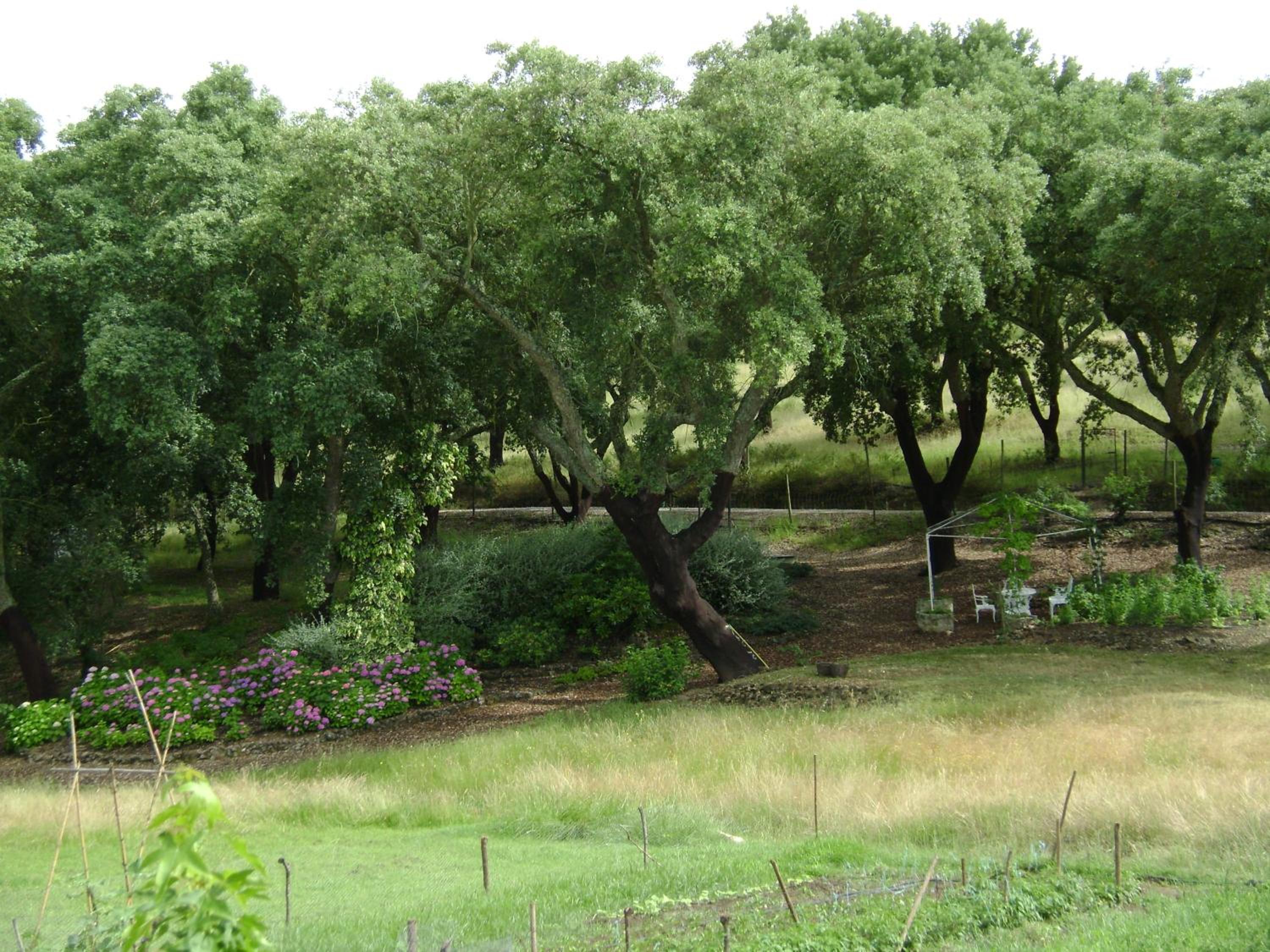 Photo 42