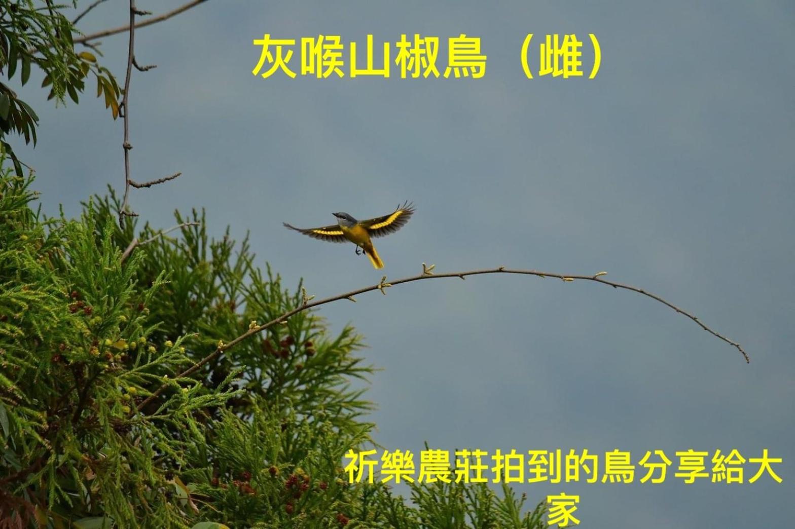 Photo 64