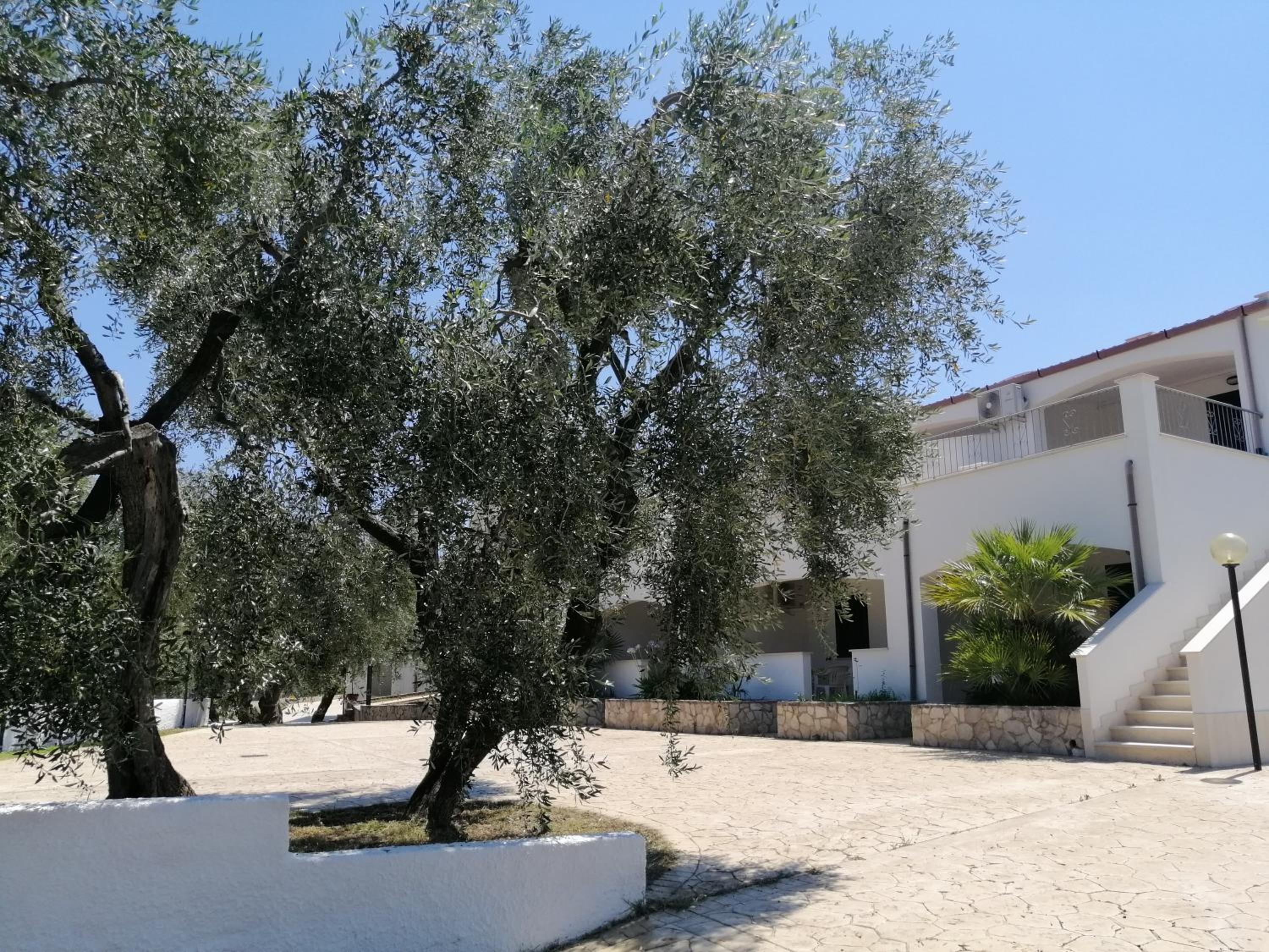 Case vacanze Villa Elisa view 3