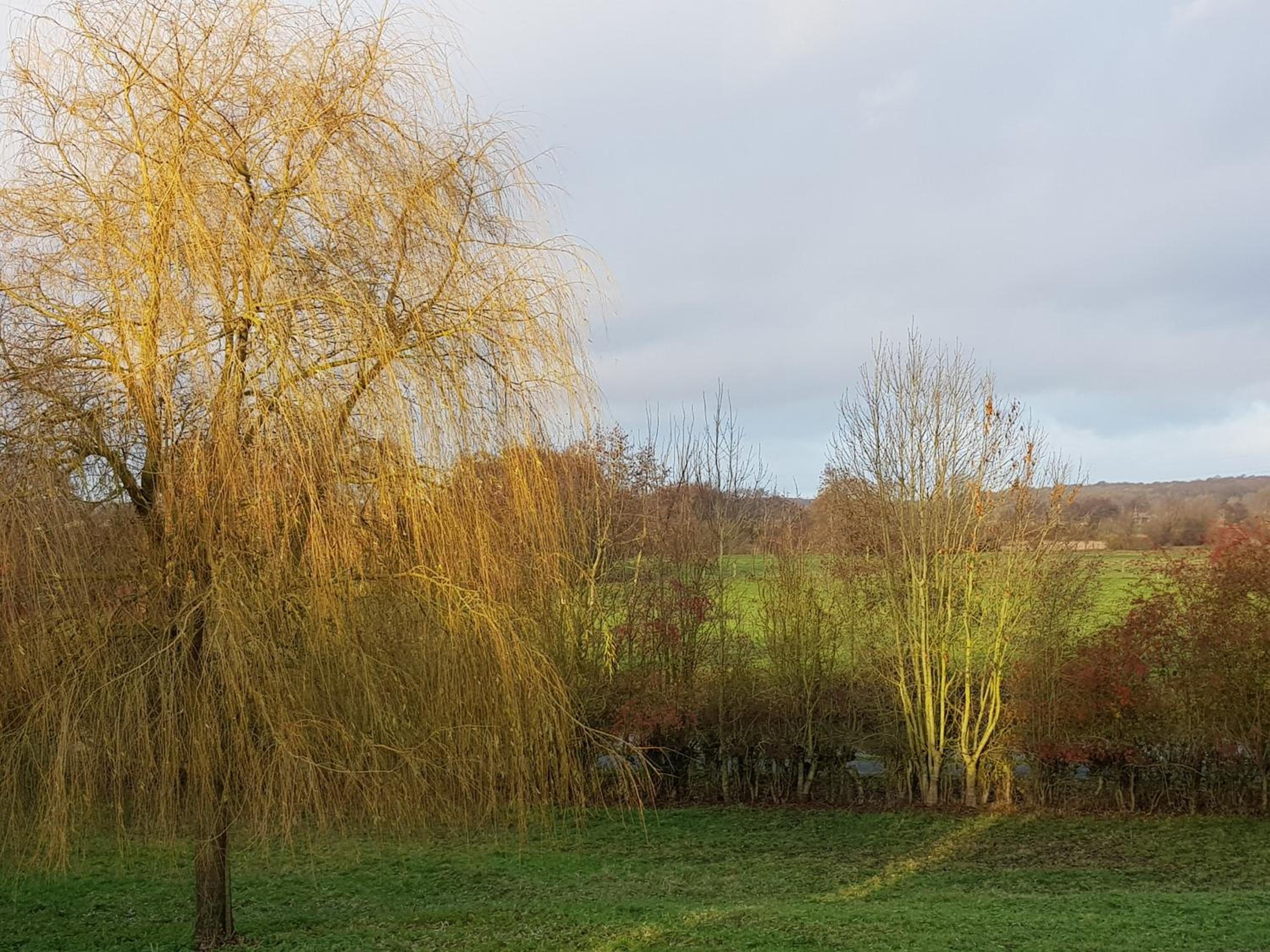 Il etait une ferme, photo 83
