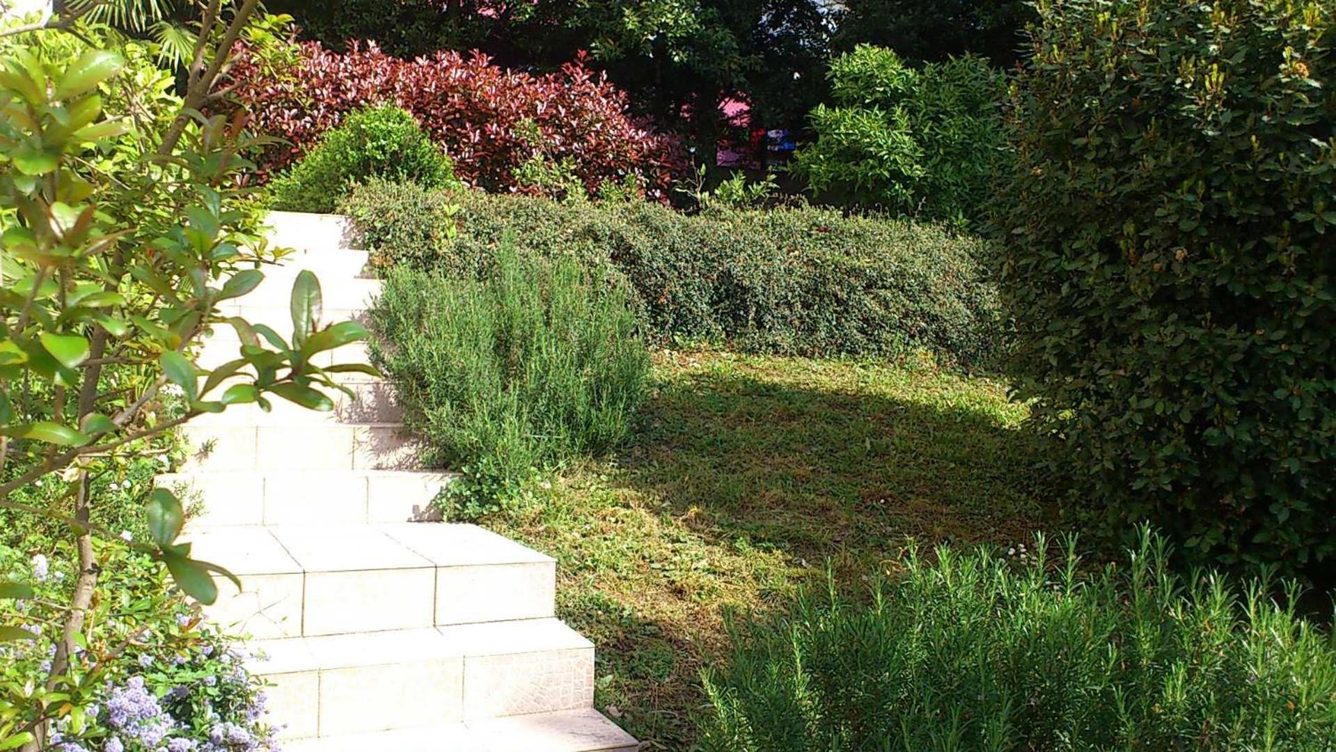Photo 56