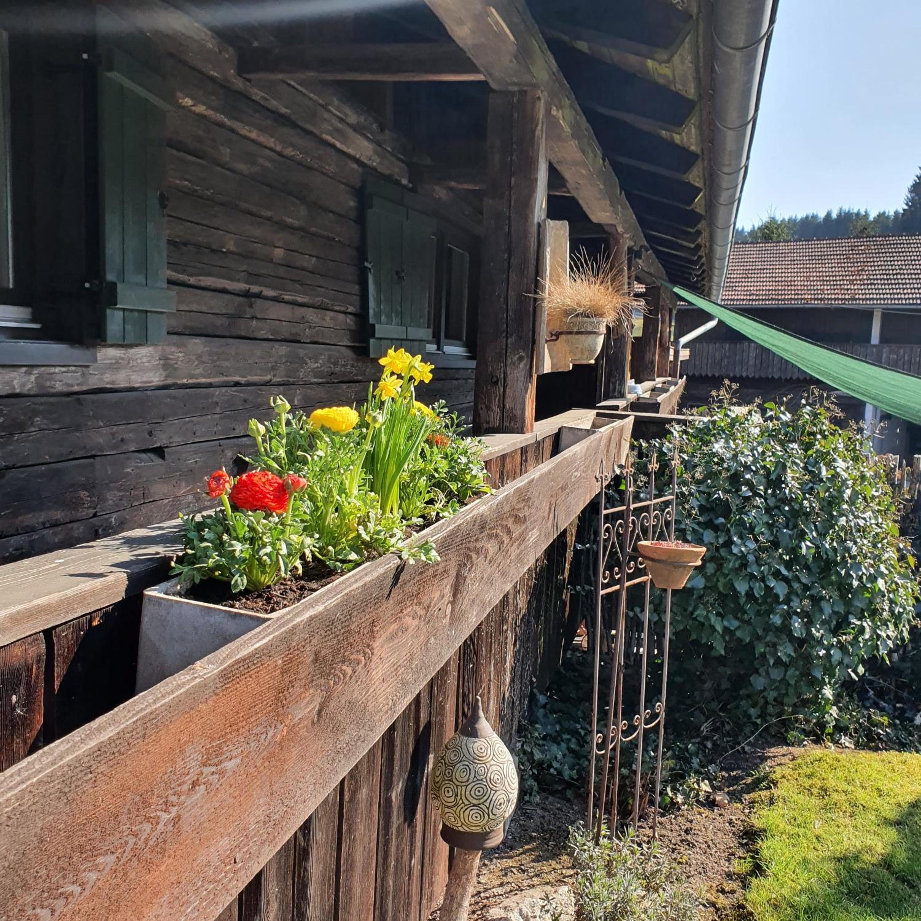Naturidyll Kollnbergmühle