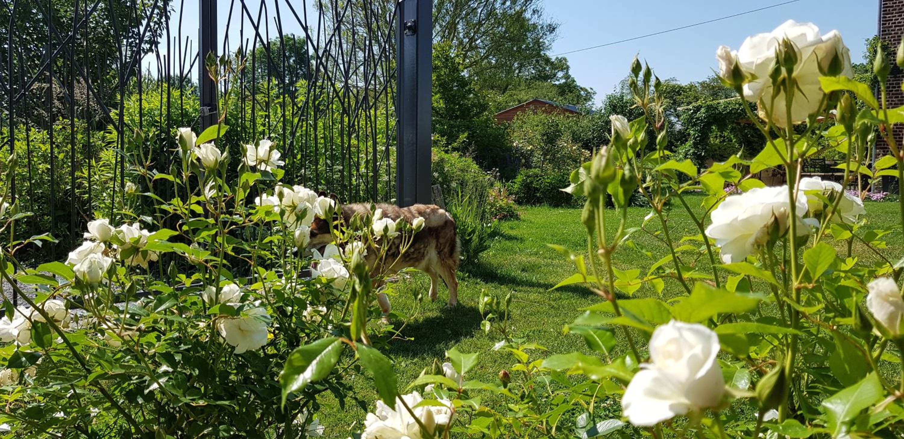 Il etait une ferme, photo 57