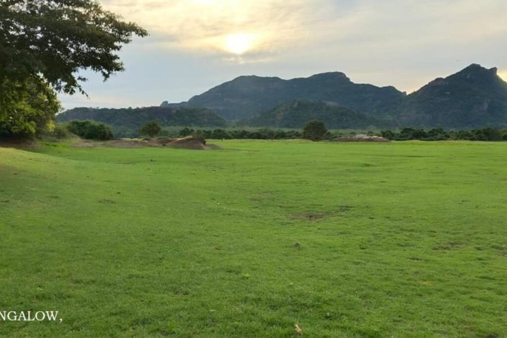 Gaia Lake Bungalow Kandalama view 4