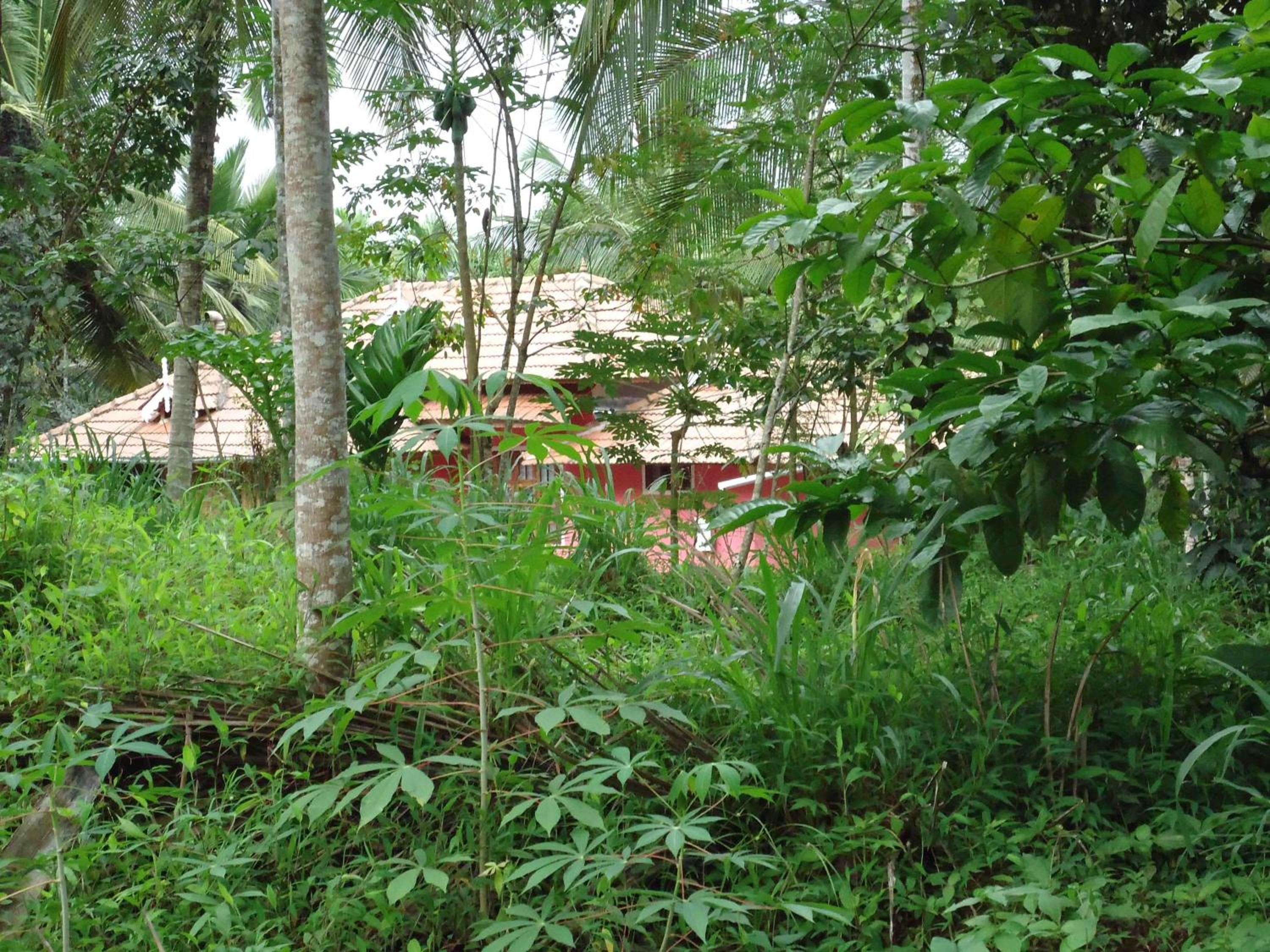 Photo 46