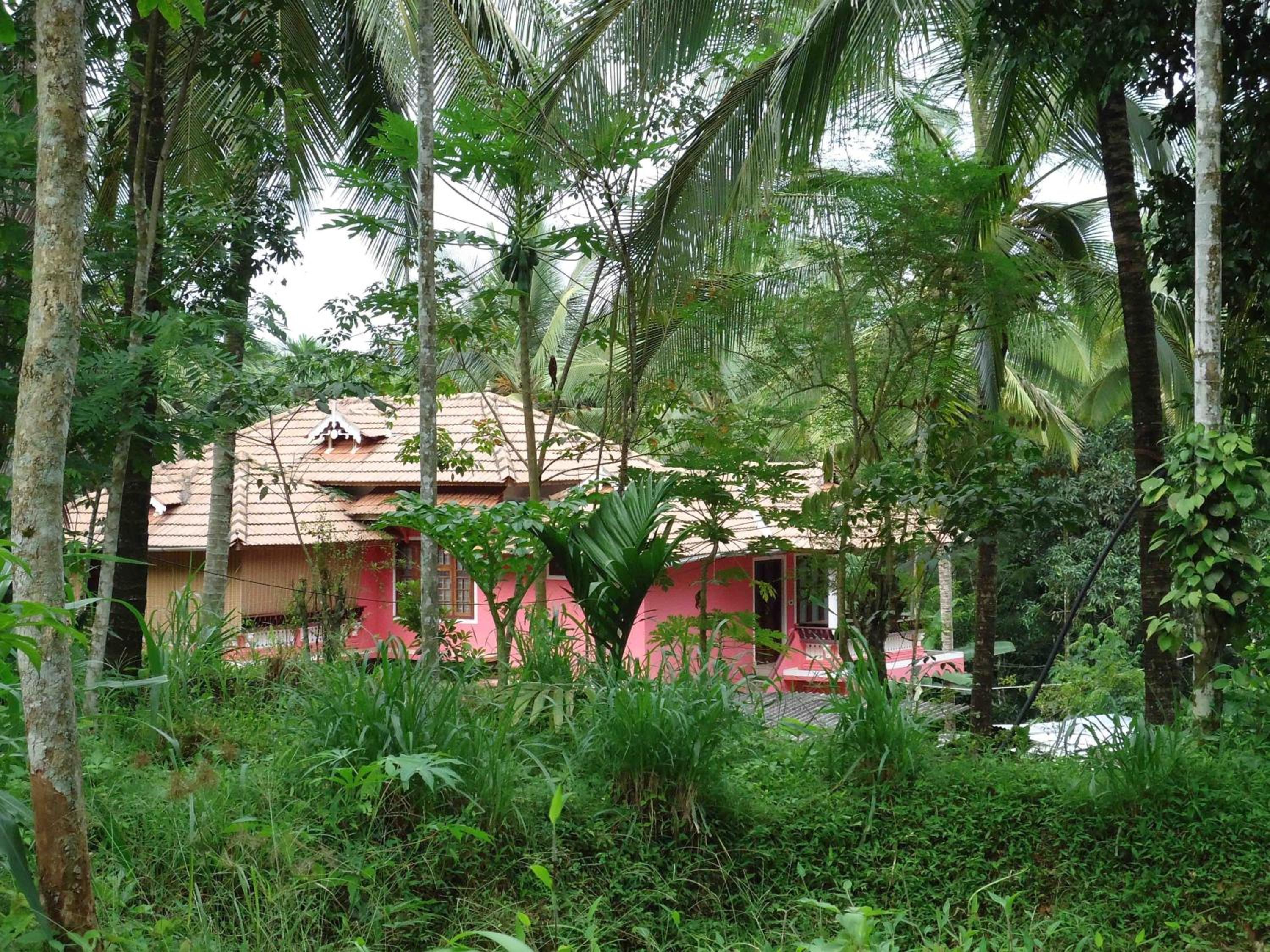 Photo 47