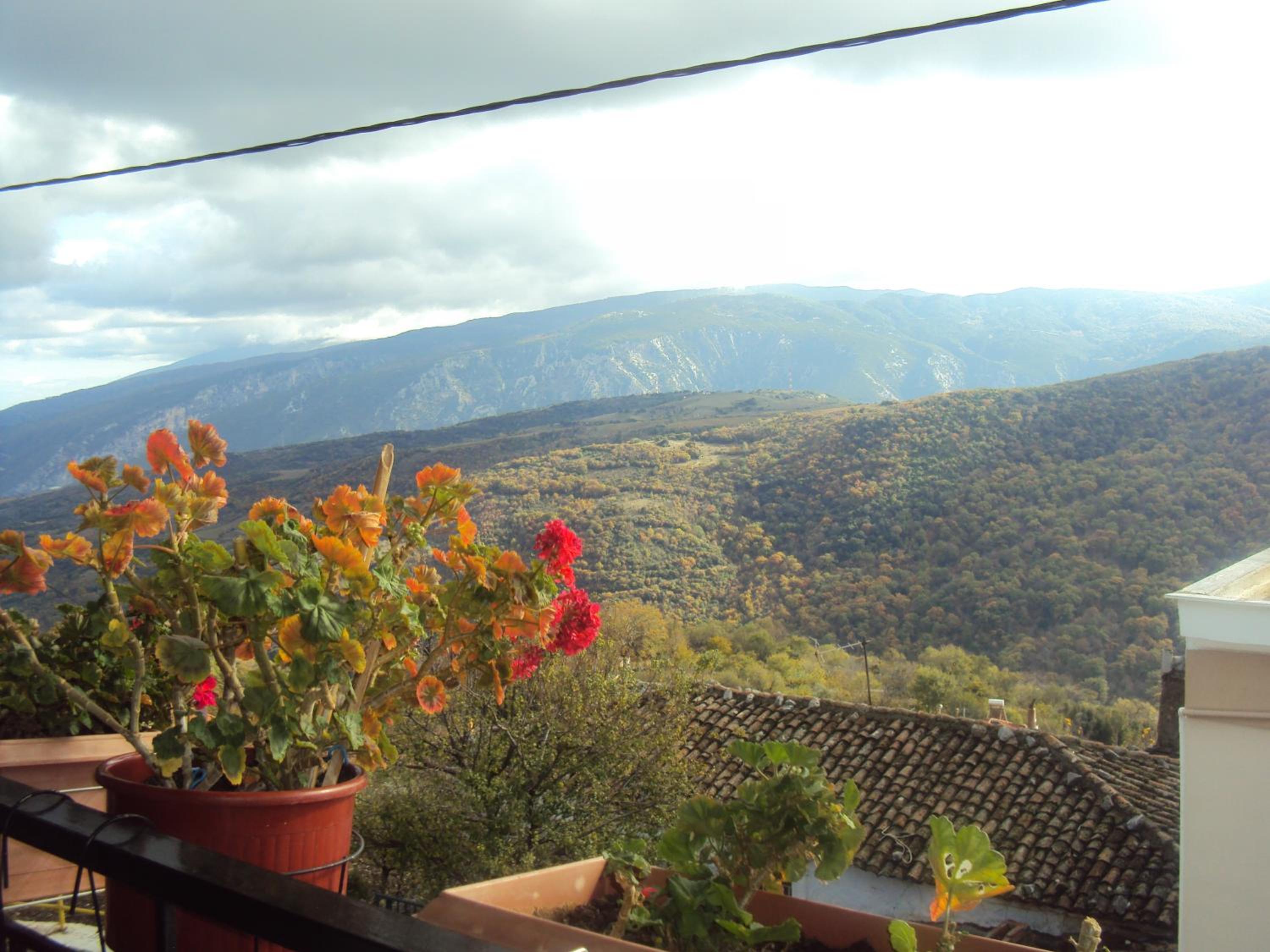Vassilis Guesthouse view 5