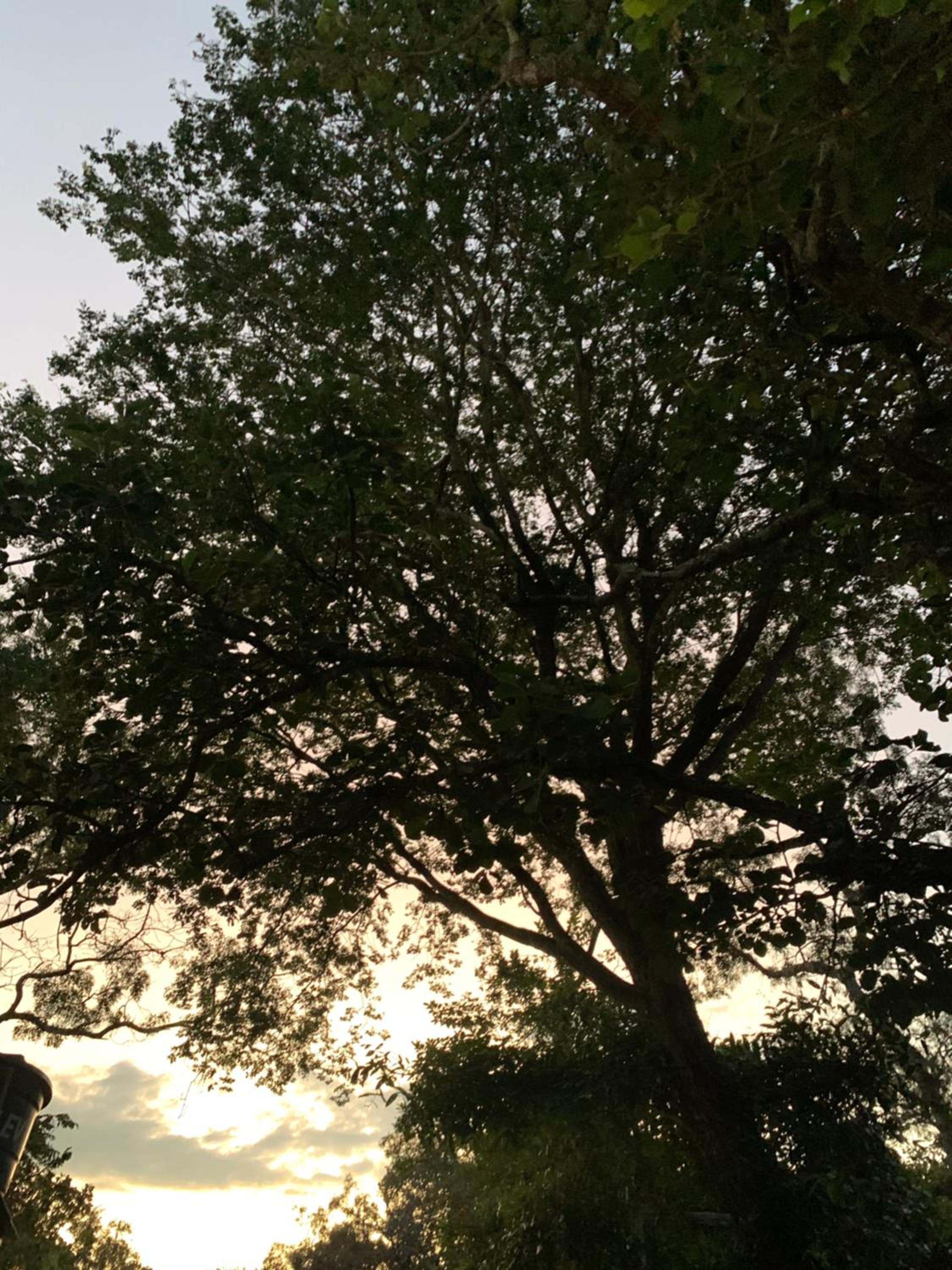 Photo 24