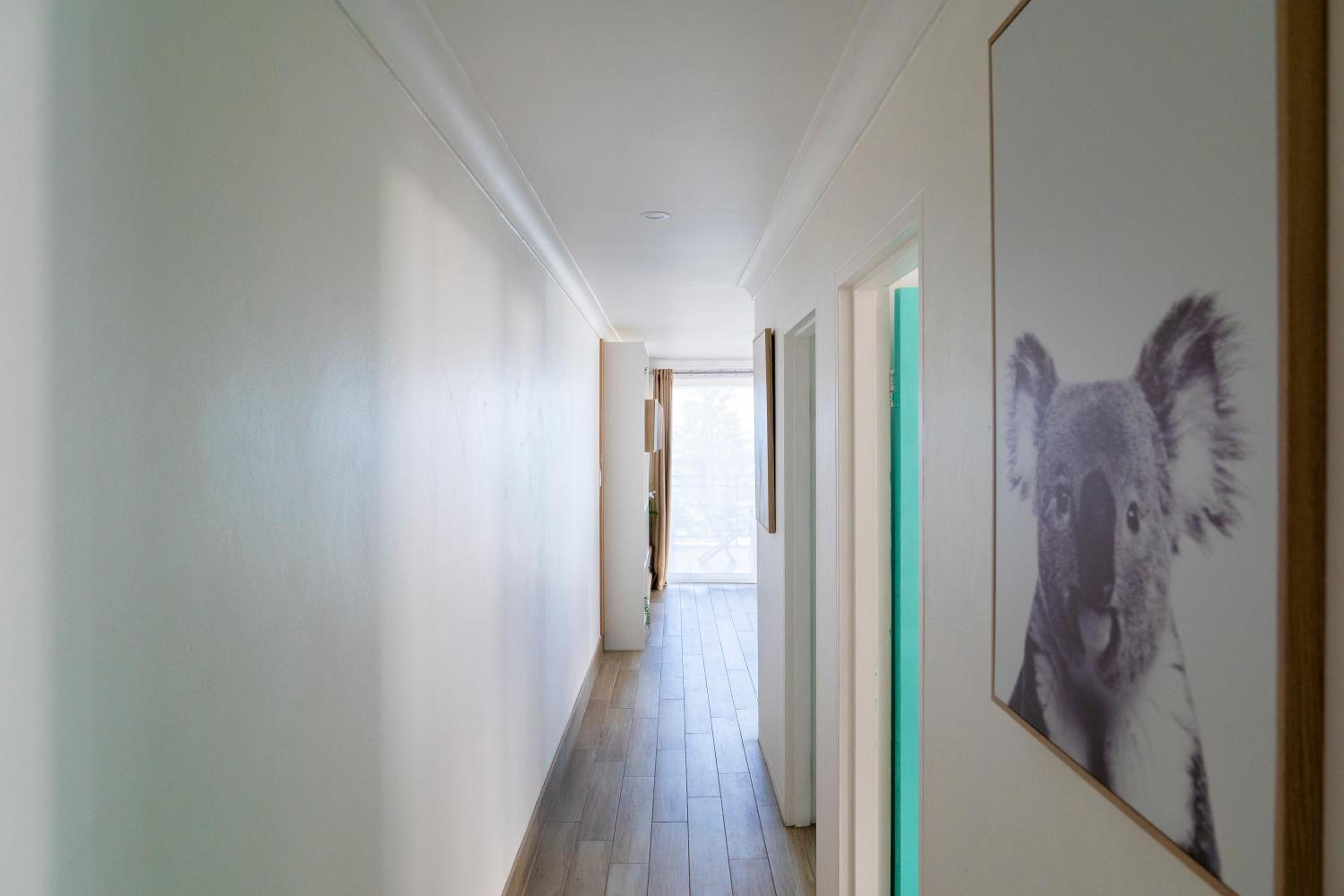 Manly Beachfront Apartment photo 5
