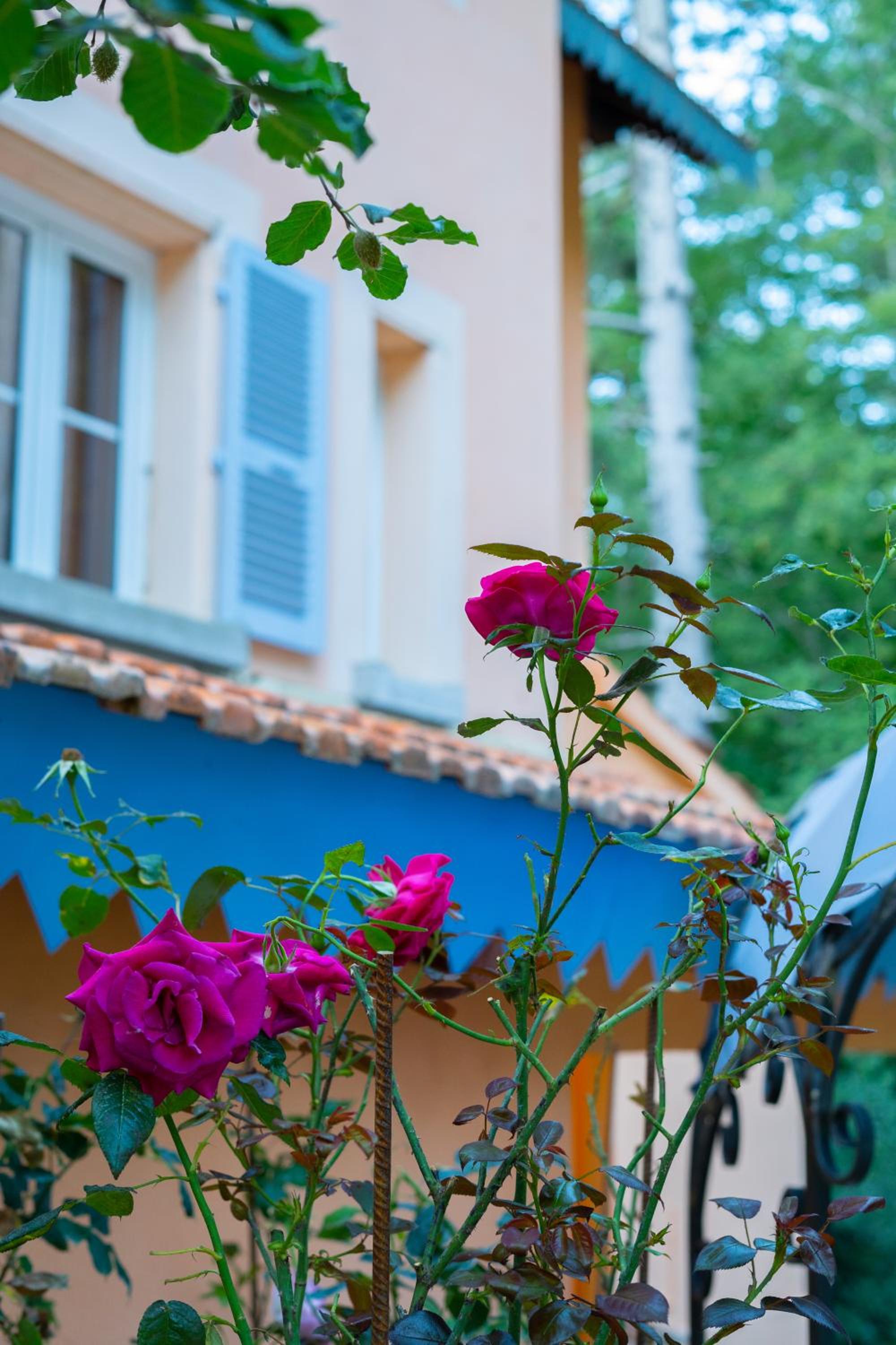 garden