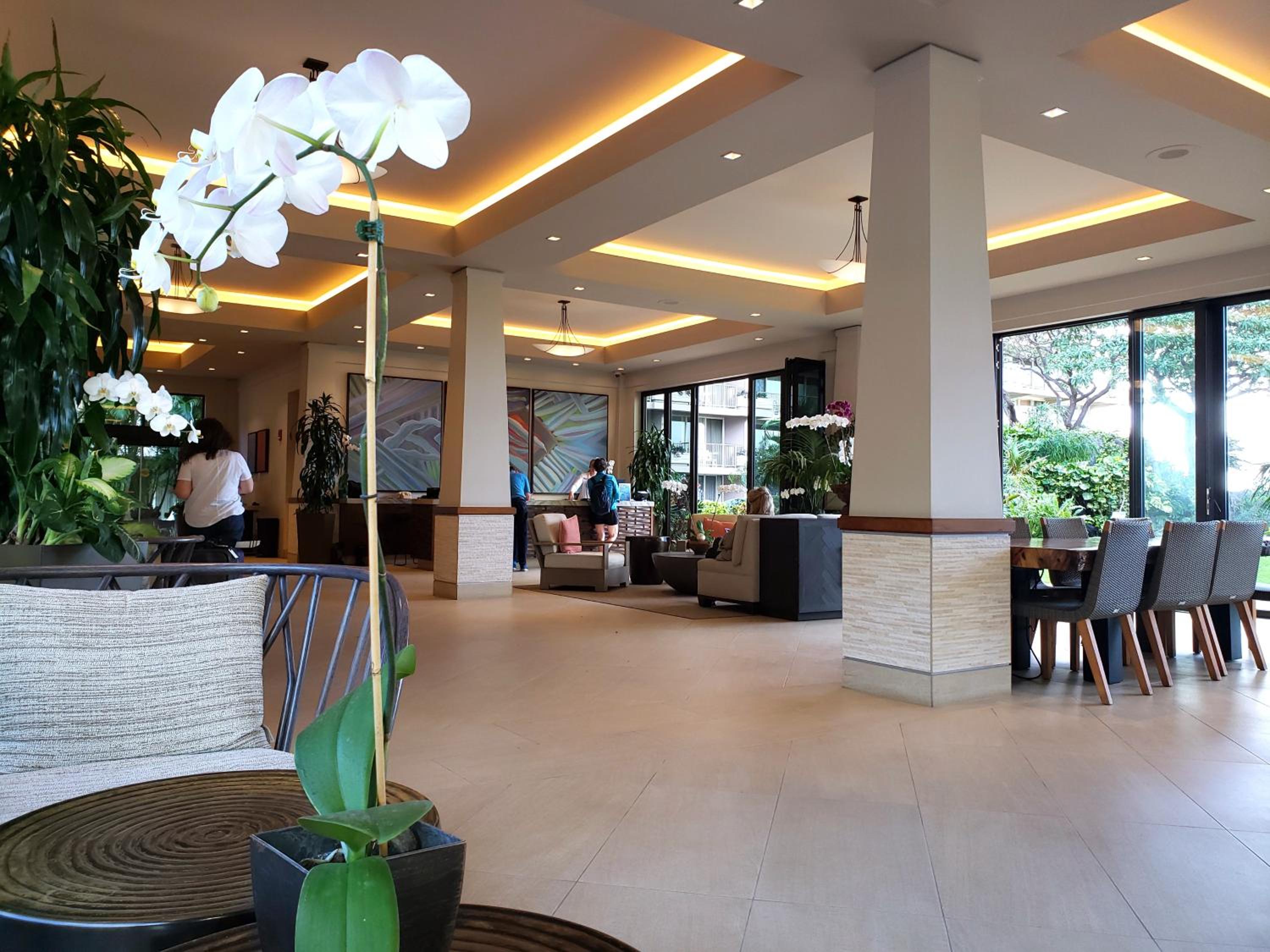 recepcion & lobby