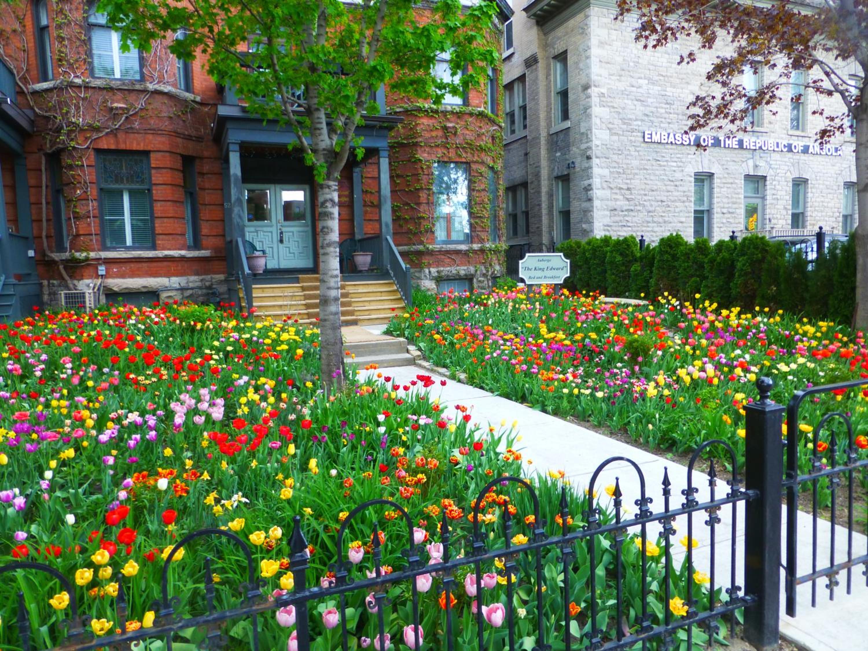 Auberge King Edward Bed and Breakfast