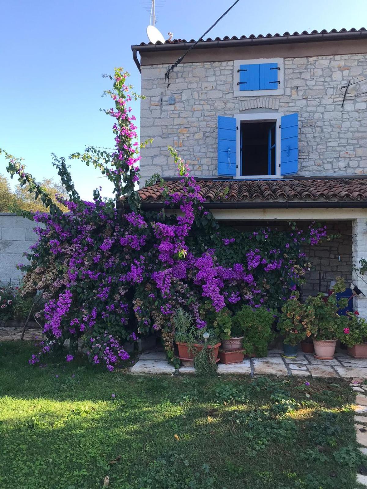 Farmhouse Cubani view 2