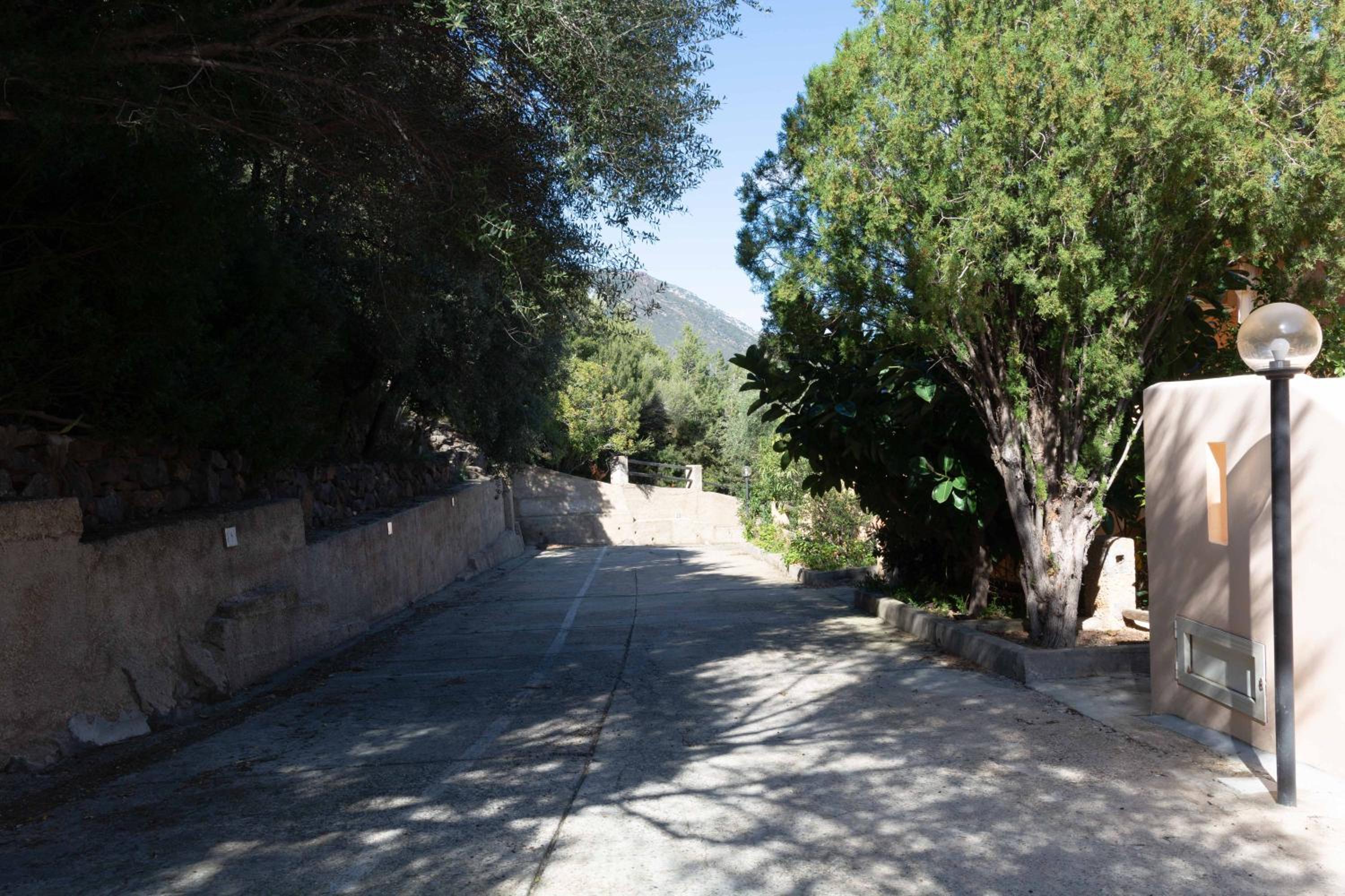Photo 35