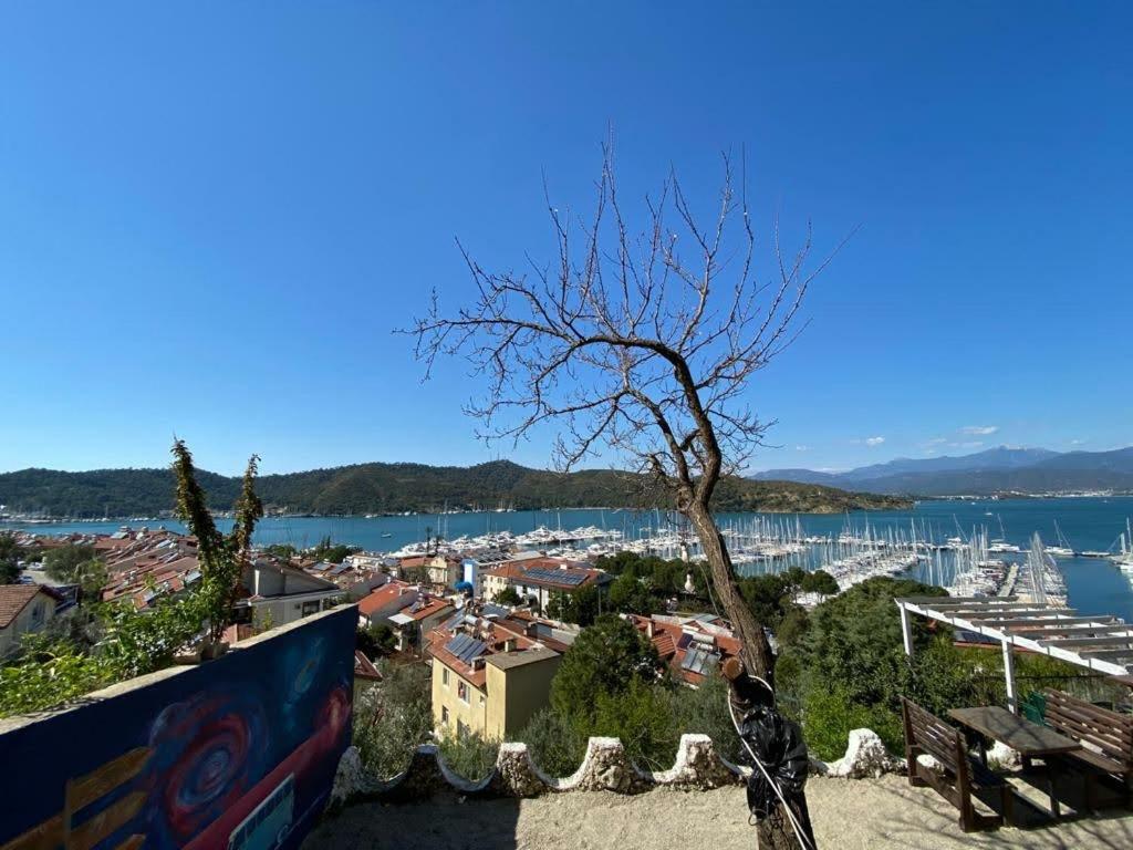 El Camino Yurt & Pub - Image 37