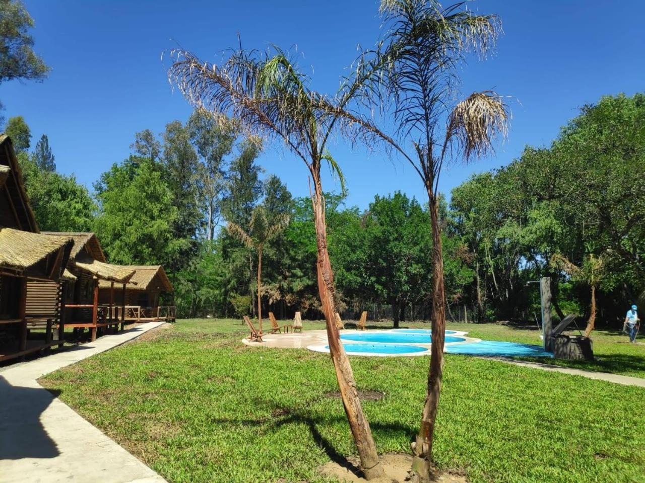 el bosque la foret