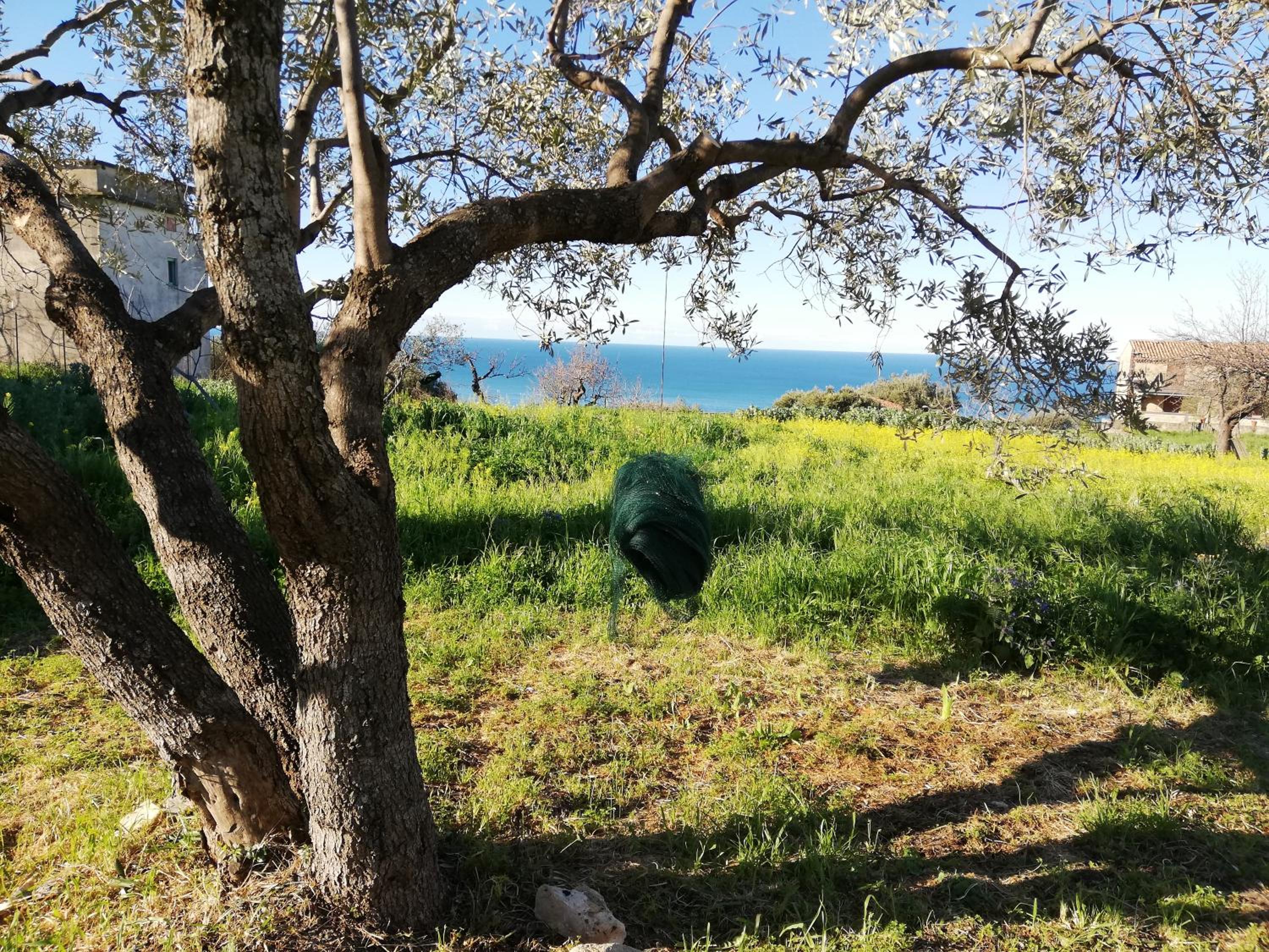 Il Borgo di Nonno Carlo view 4