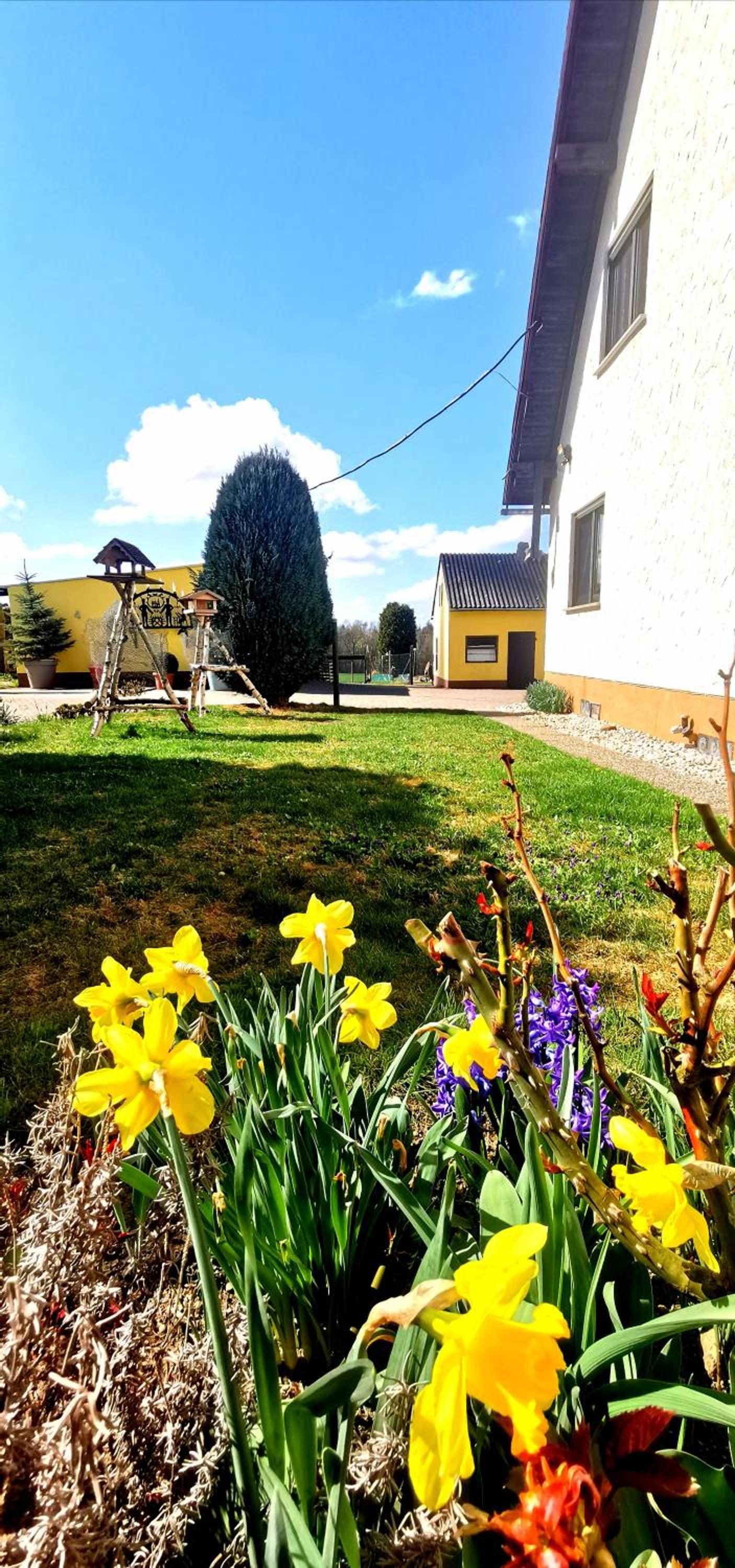 Ferienwohnung Landidylle Nassheck view 3