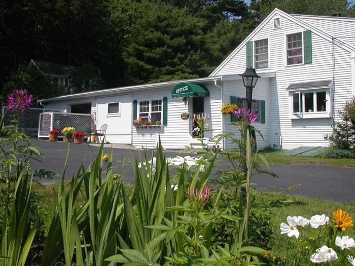 Pine Grove Cottages