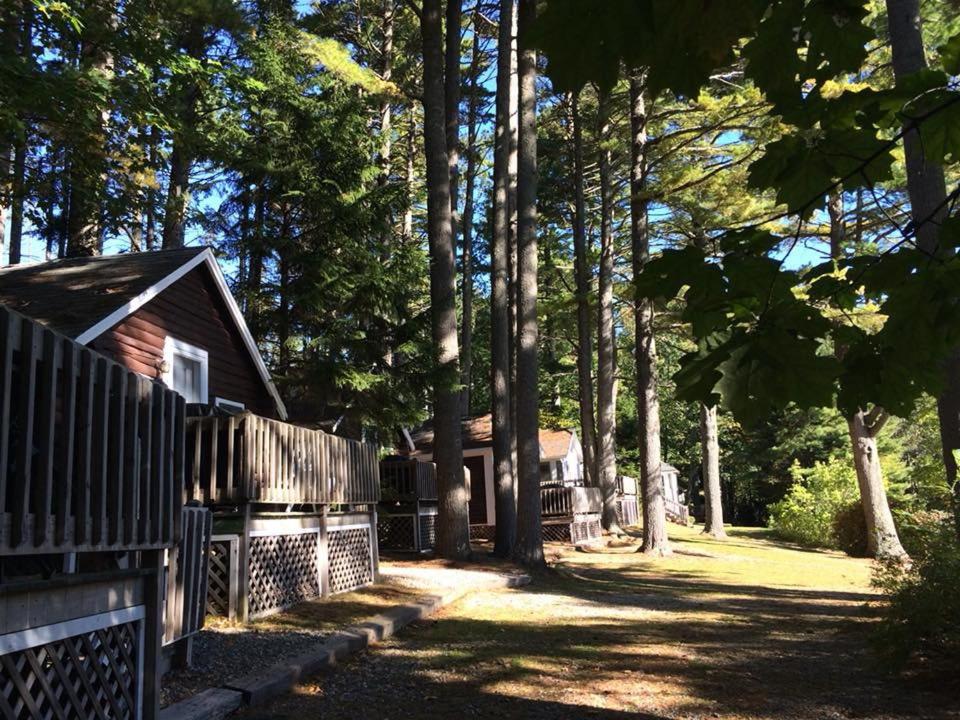 Pine Grove Cottages