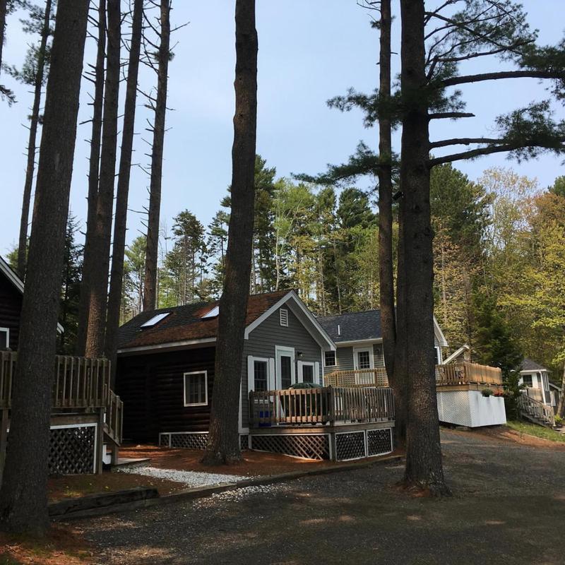 Pine Grove Cottages