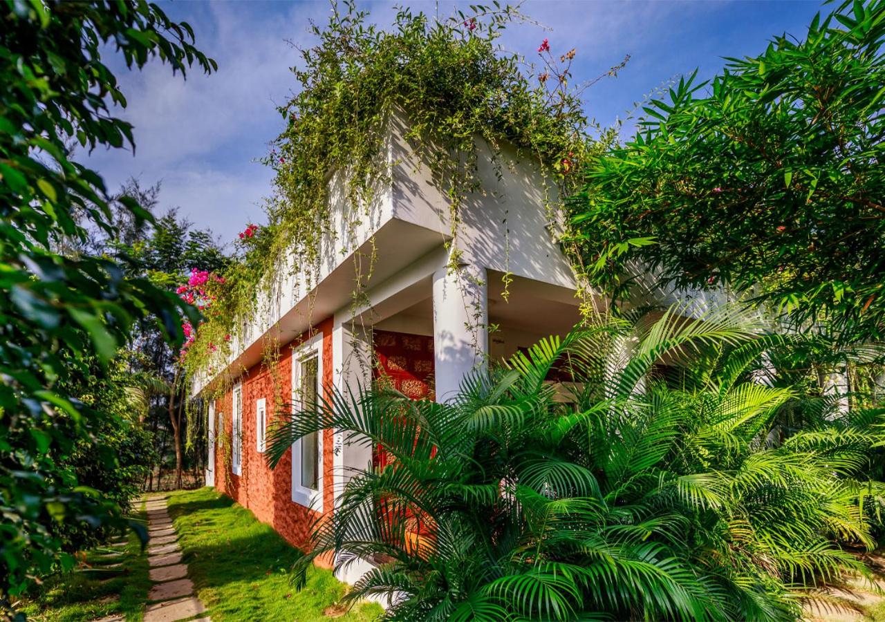 SR Jungle Resort