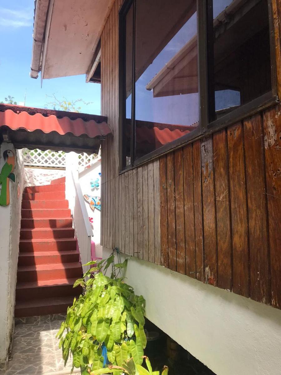 Villa acacias tree