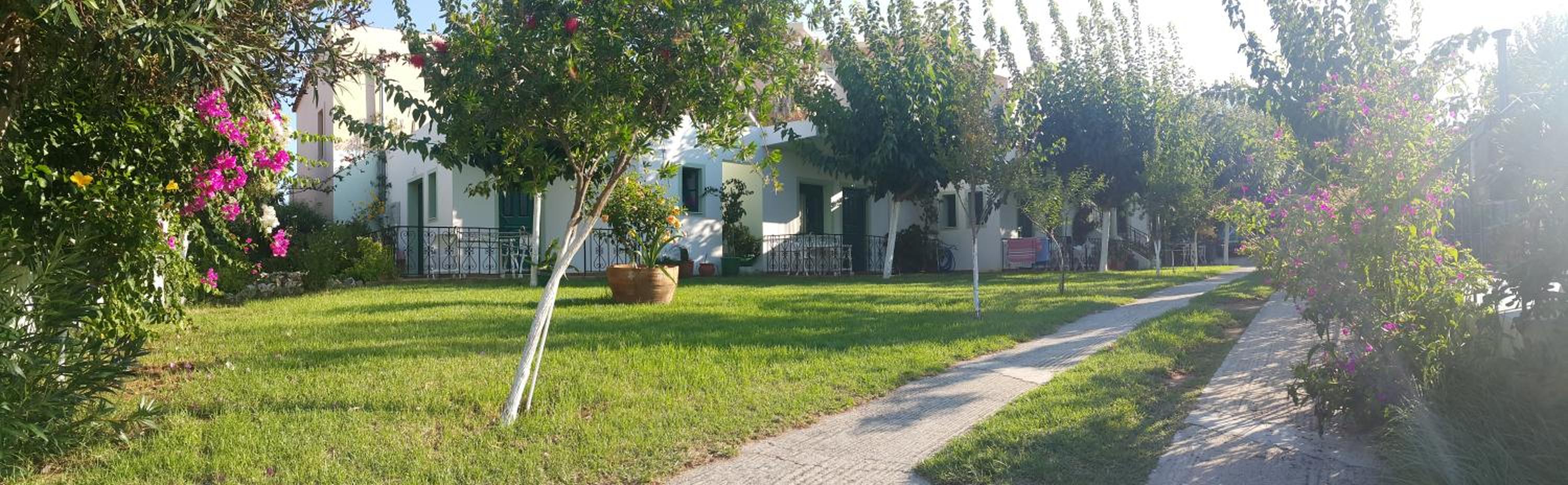 Ampeli Apartments photo 4