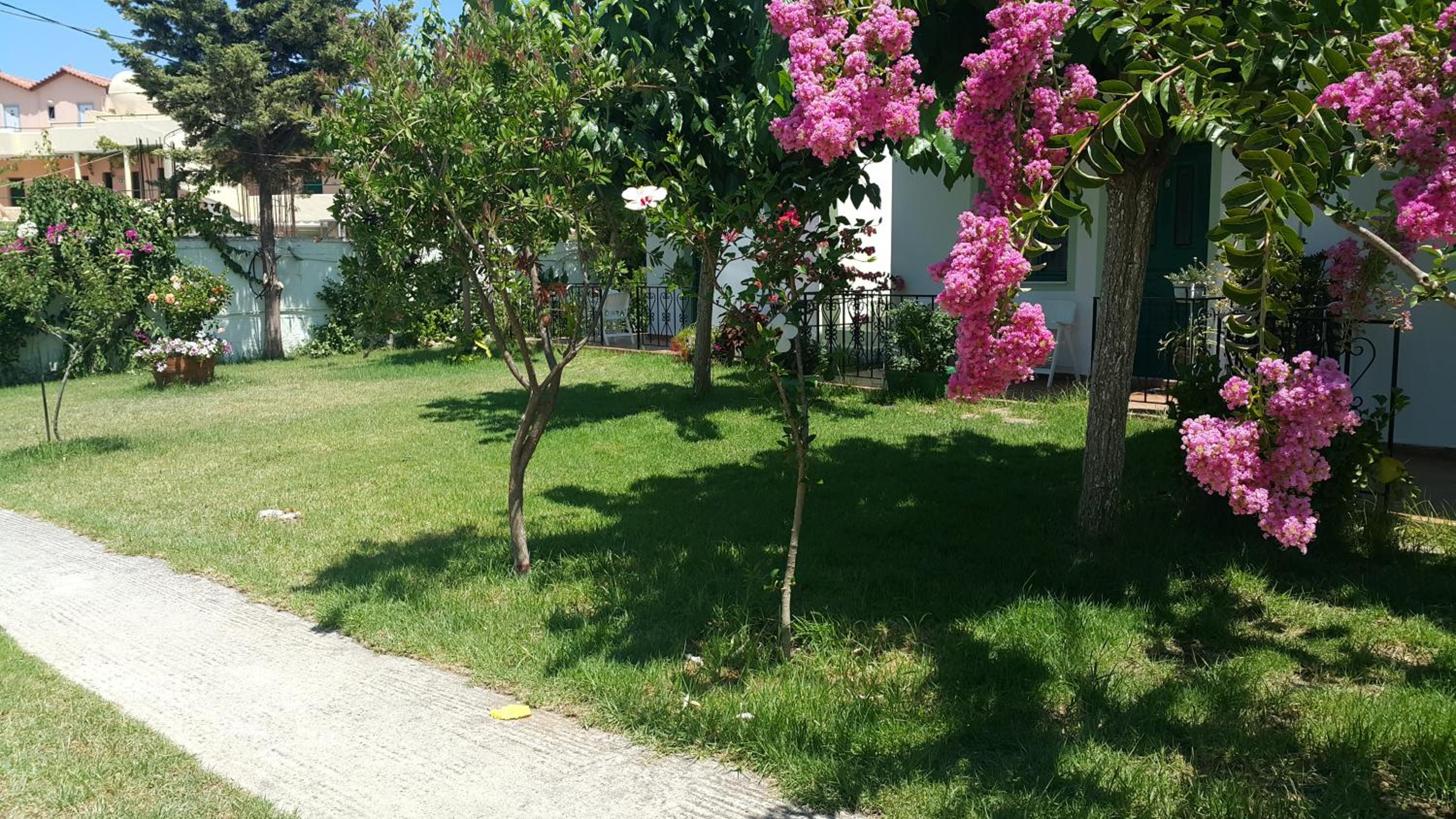 Ampeli Apartments photo 5