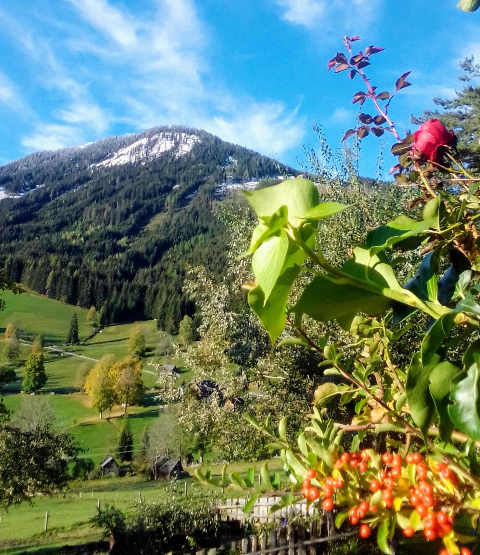Pension Stammerhof