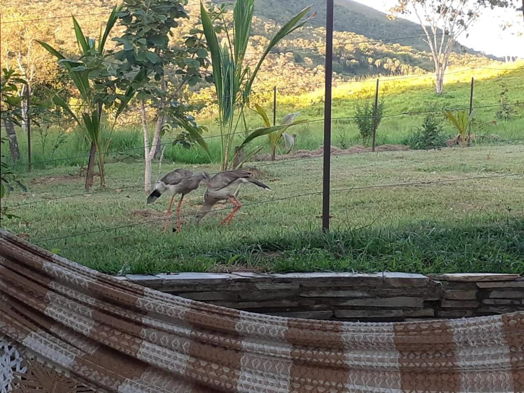 Fazenda Tarumã