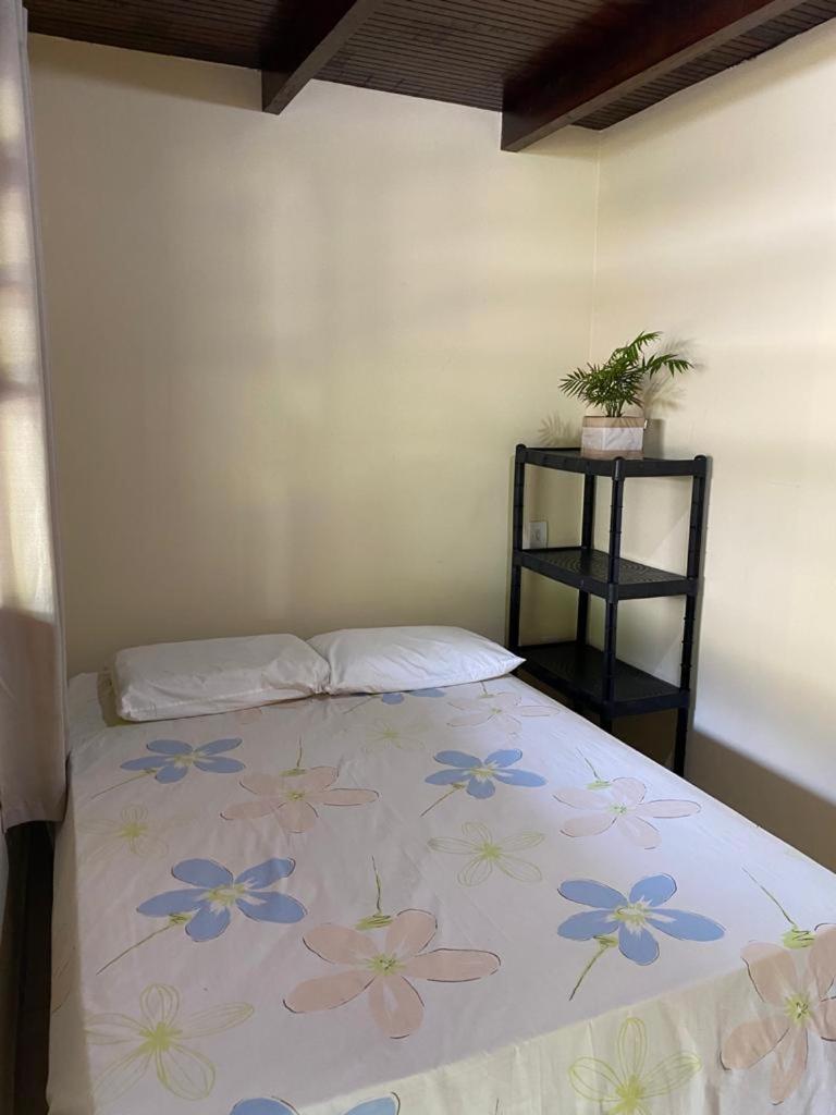 Suite rustica