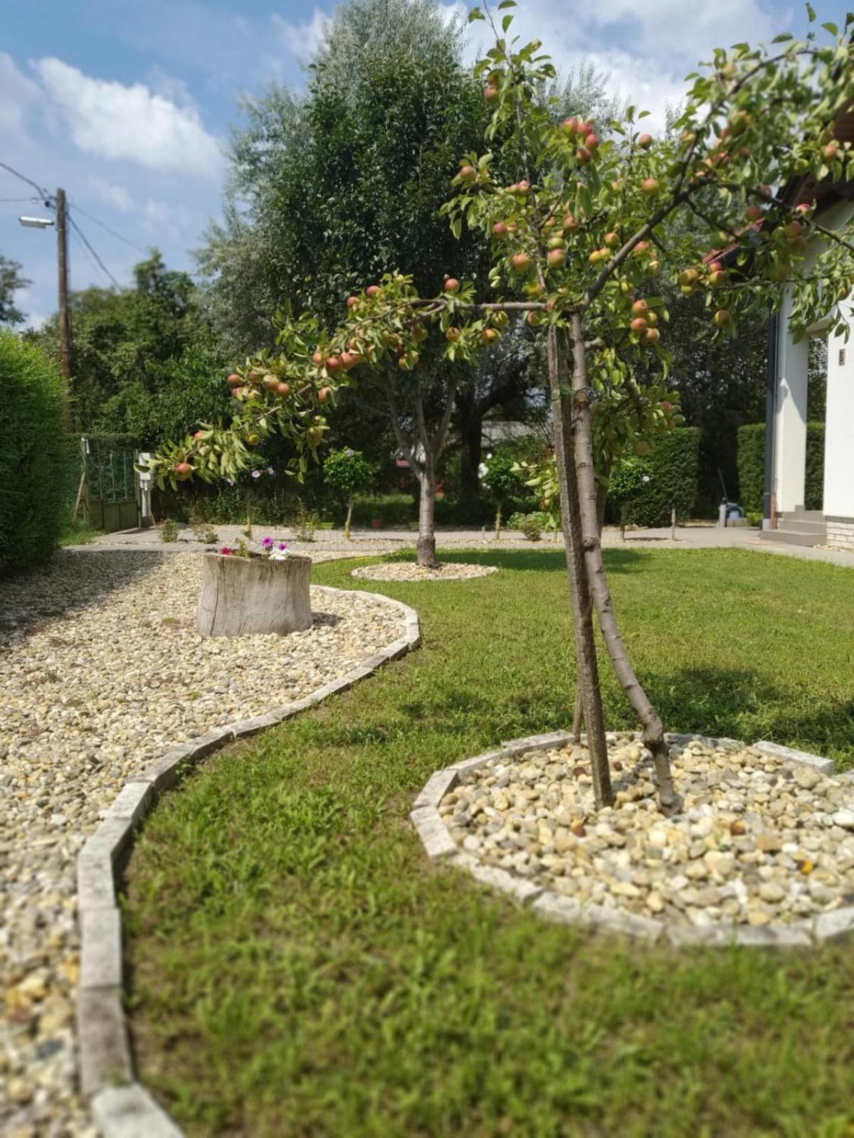 Photo 38