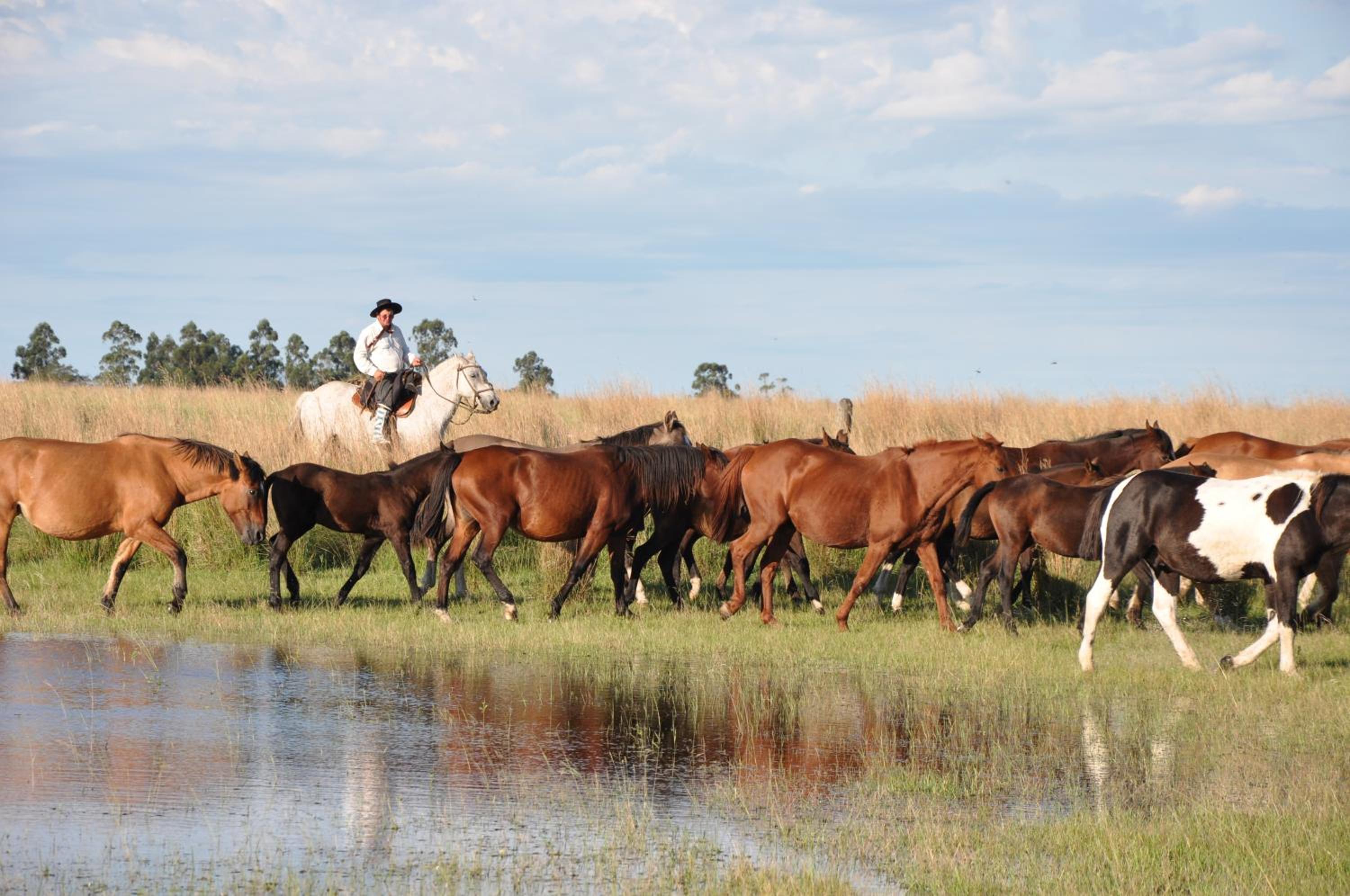 Estancia Don Joaquín Argentina