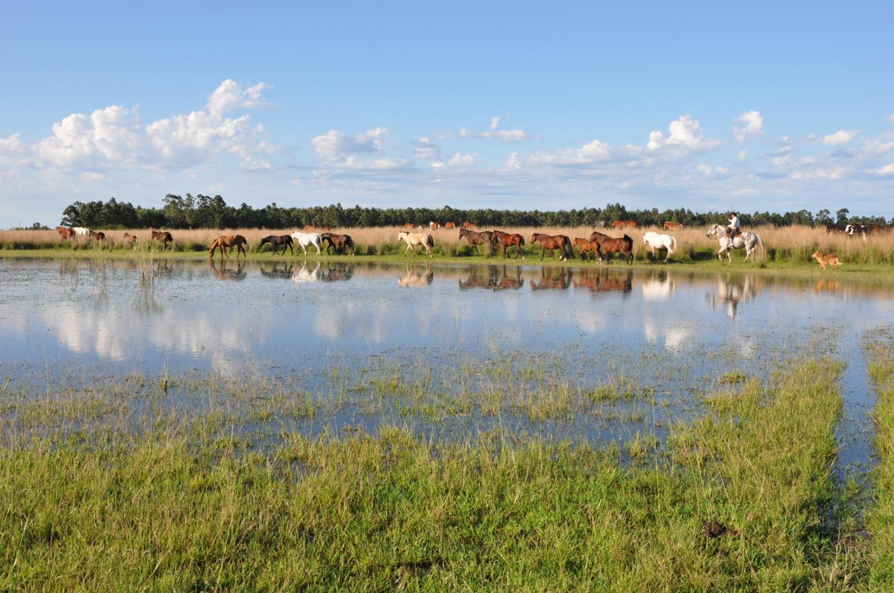 Estancia Don Joaquín Argentina