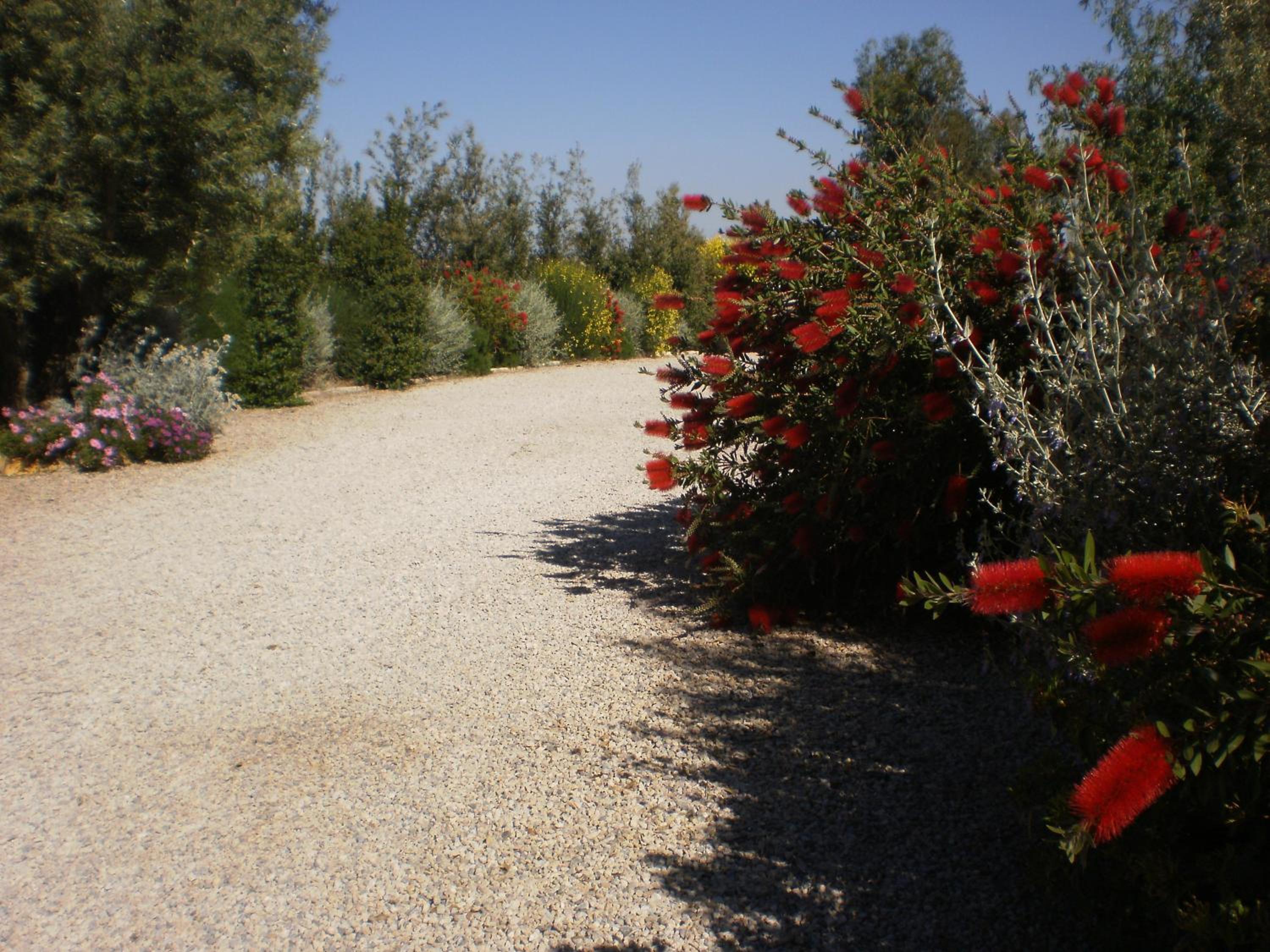 Locanda Degli Etruschi view 5