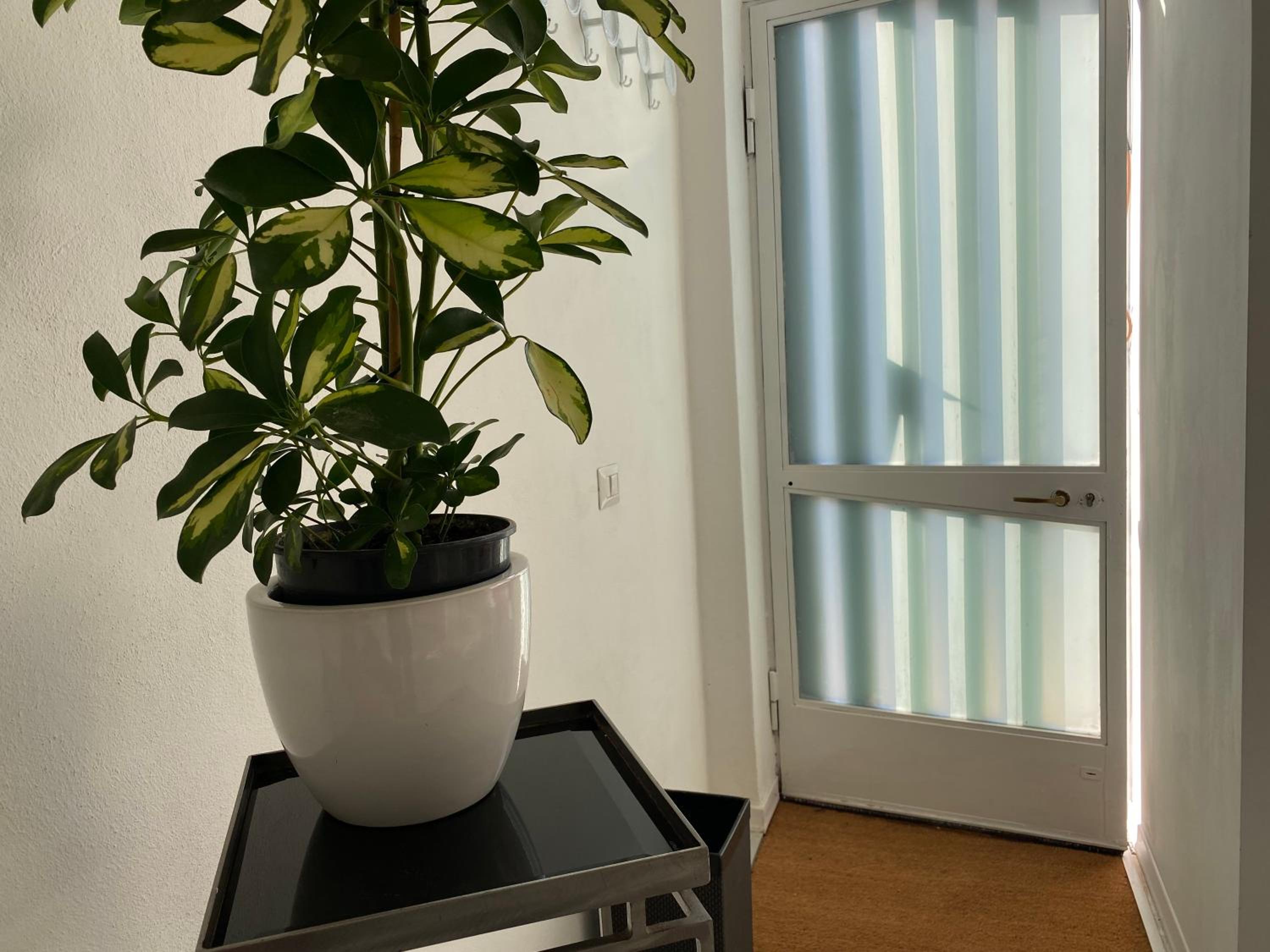 Scalabrini LOFT view 3