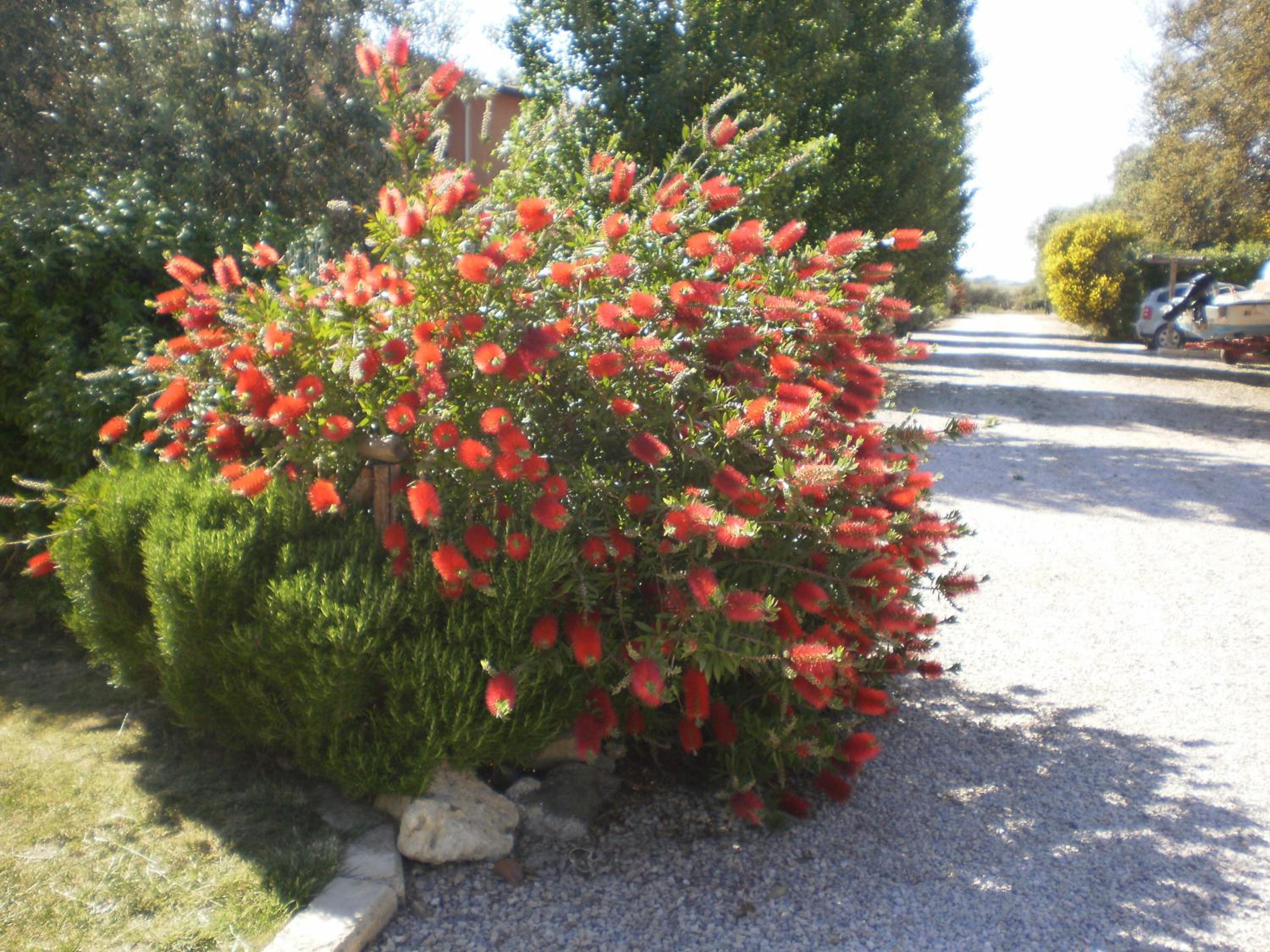 Photo 37
