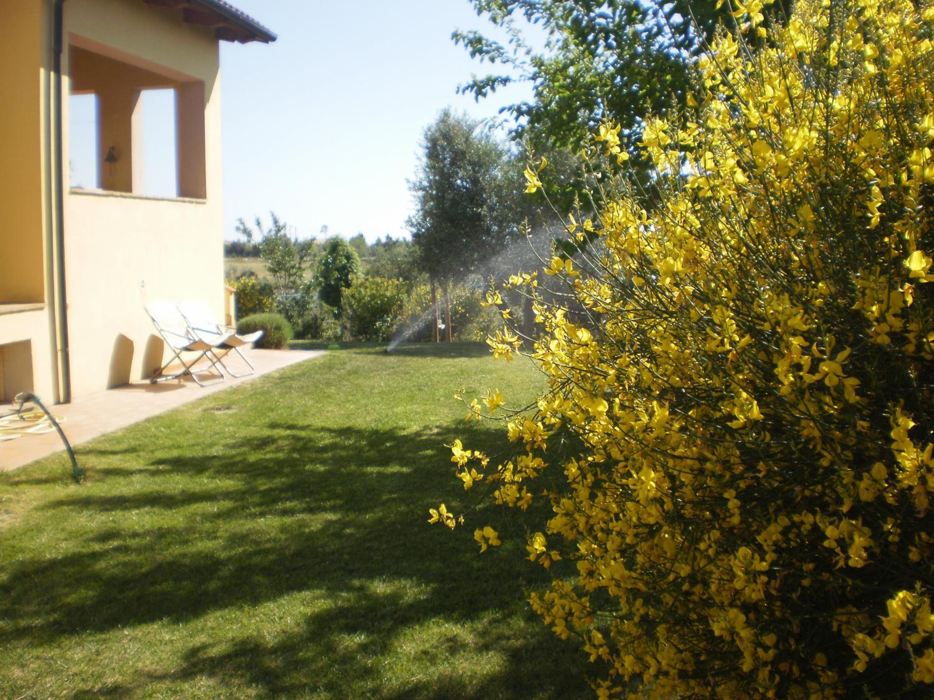 Photo 35