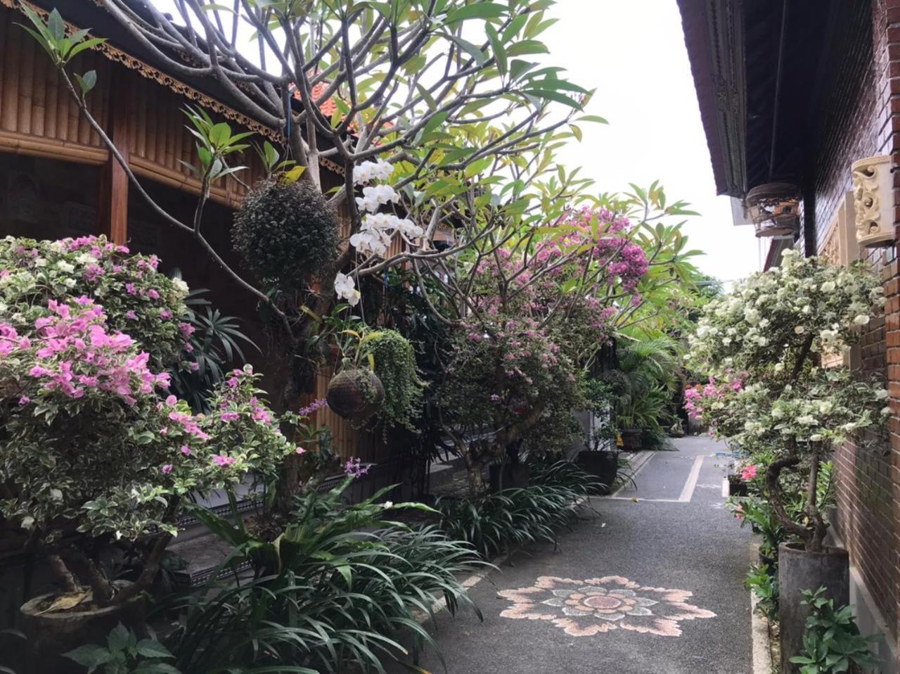 Leo Home Stay view 3