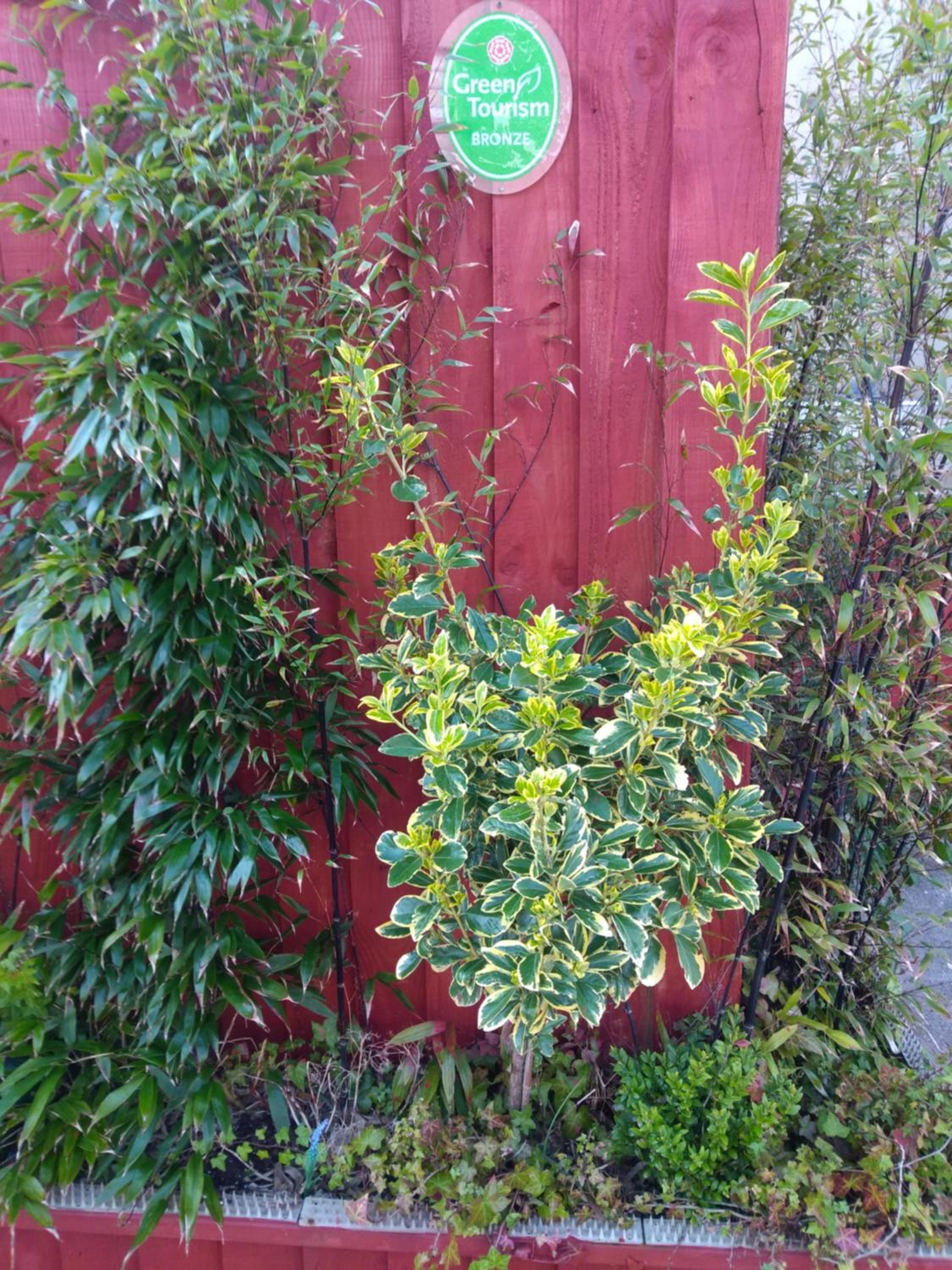 Photo 34
