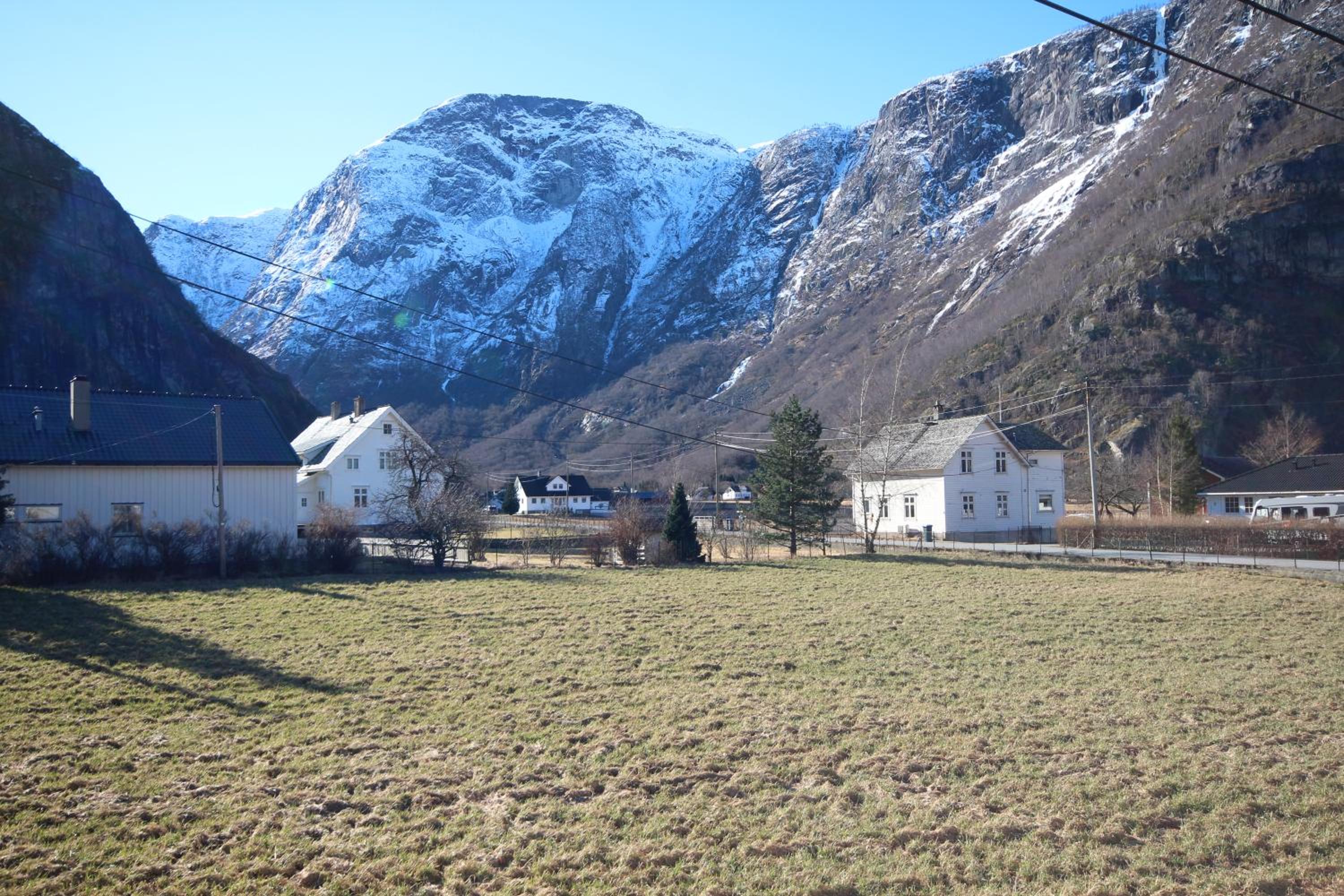 Photo 11
