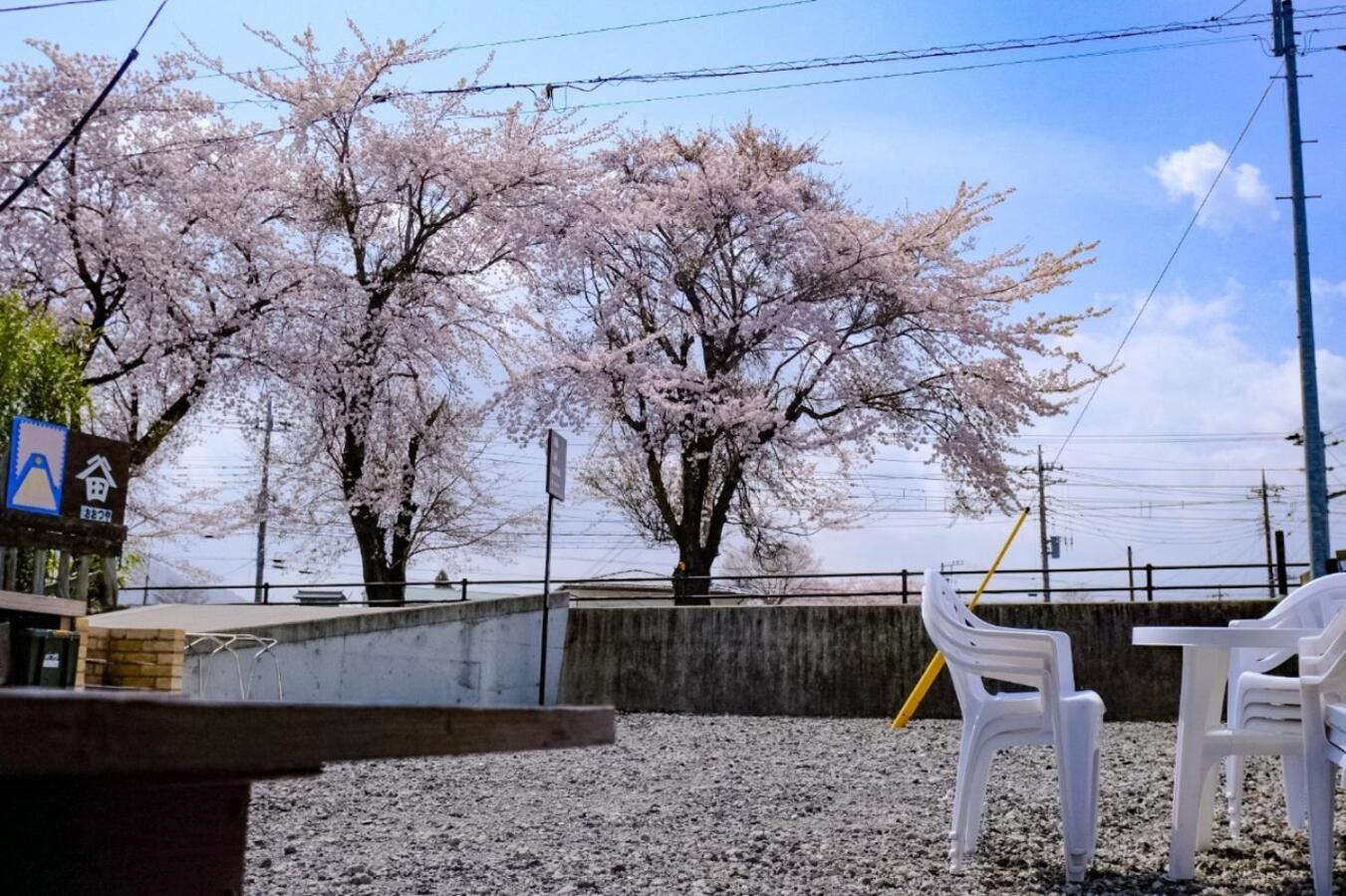 Photo 42