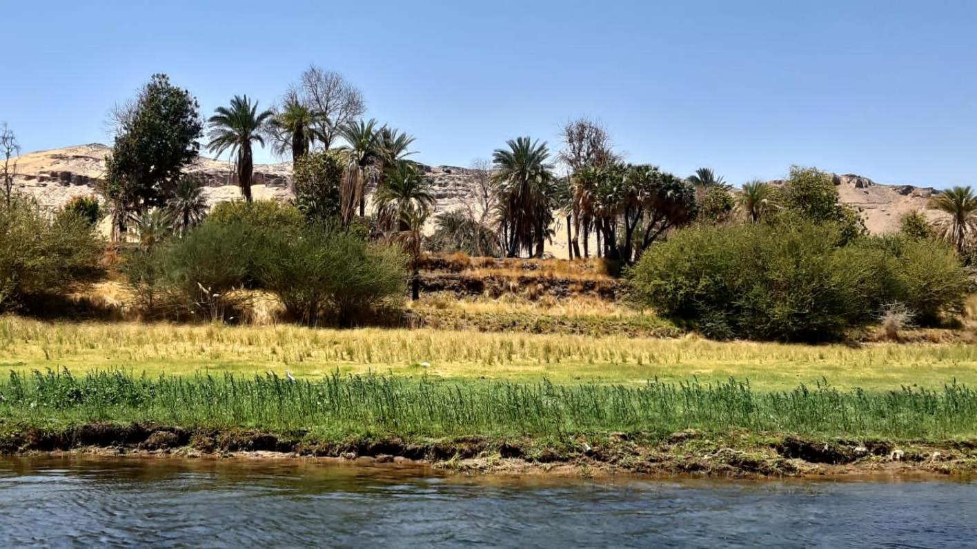 Habibi Nubian Guest House-Nubian Hospitality