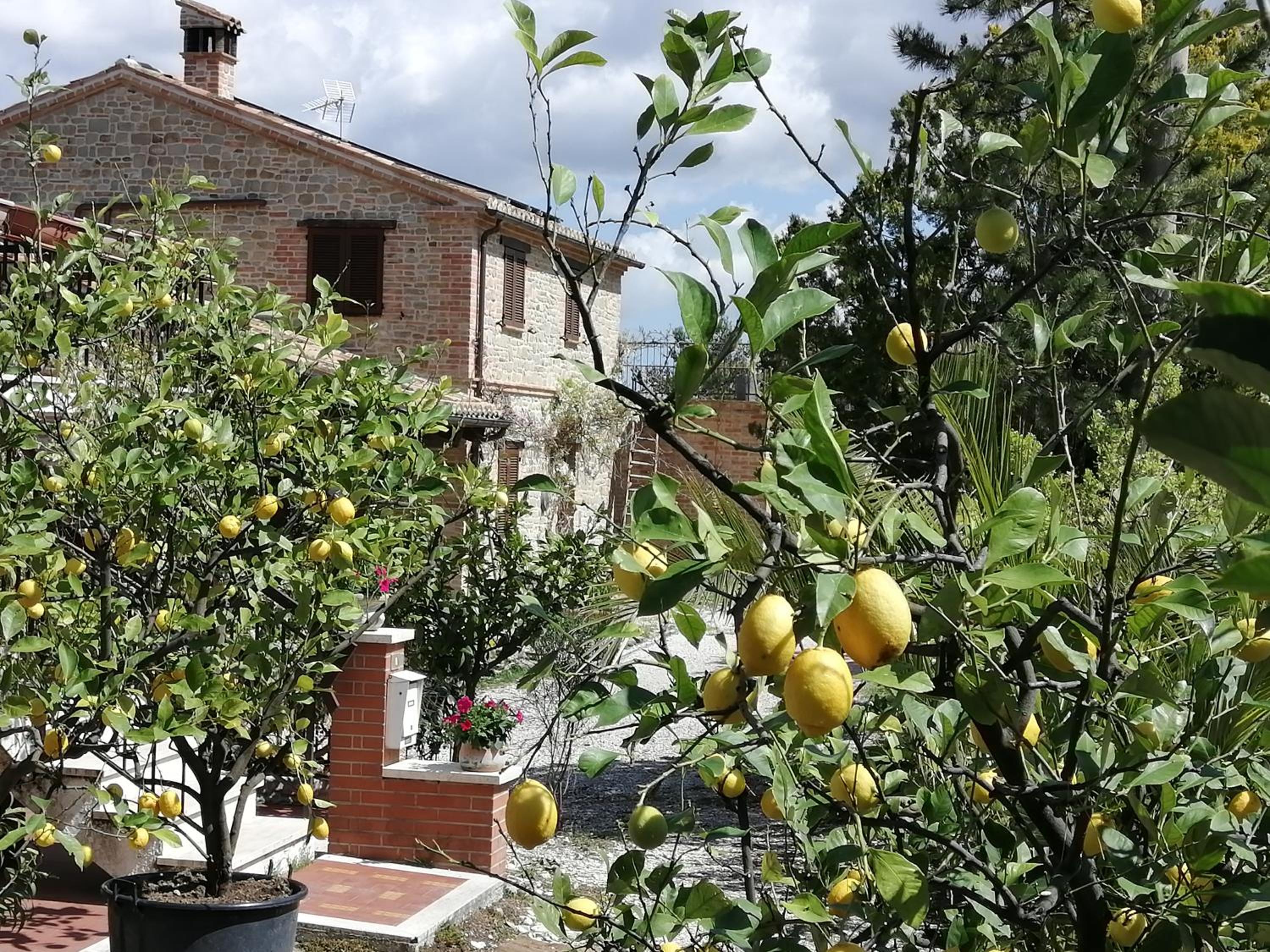 Photo 22
