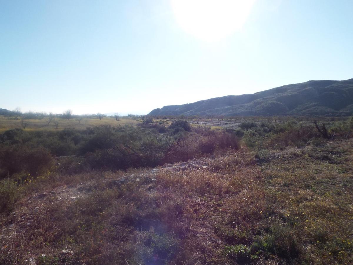 Cortijo Esperanza view 3