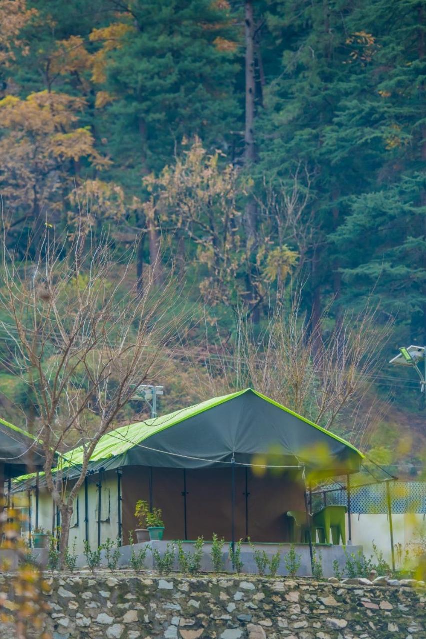 North Deodar Camps view 5