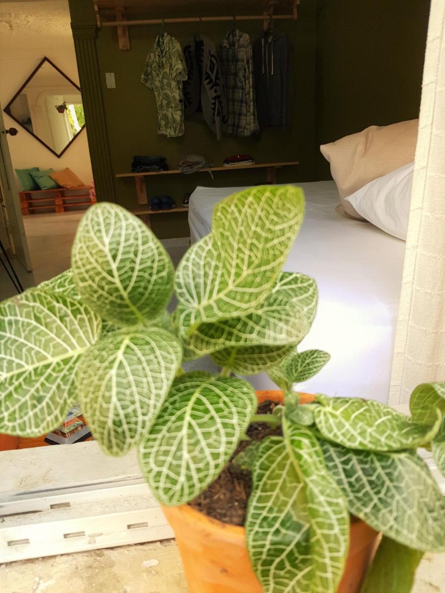 Photo 32